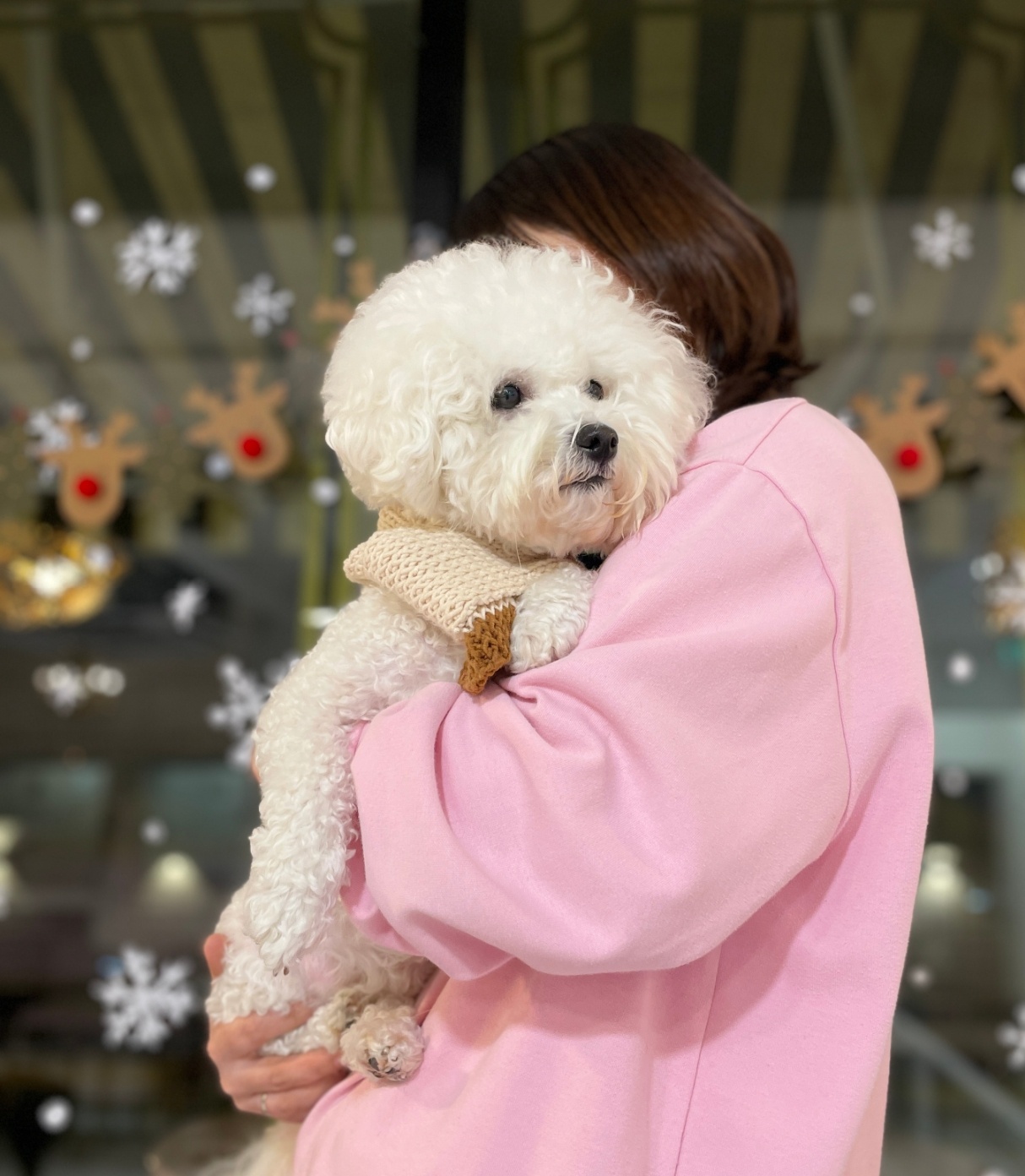 아이조아펫파크 서울점