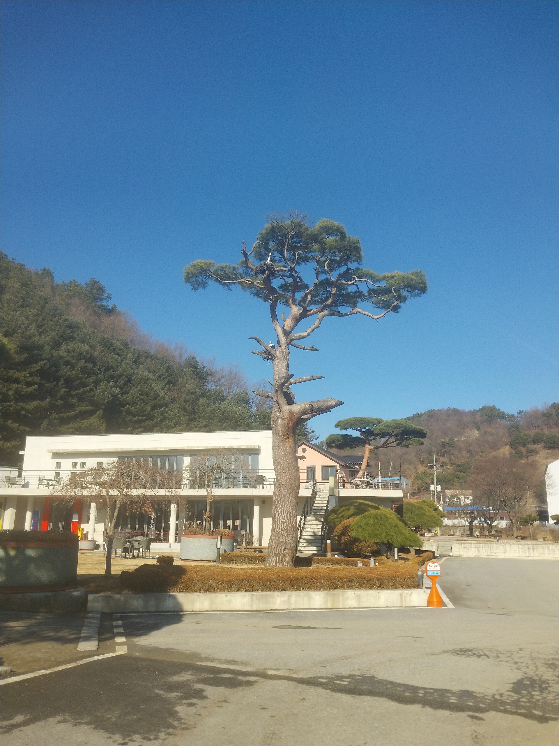 그린조경건축