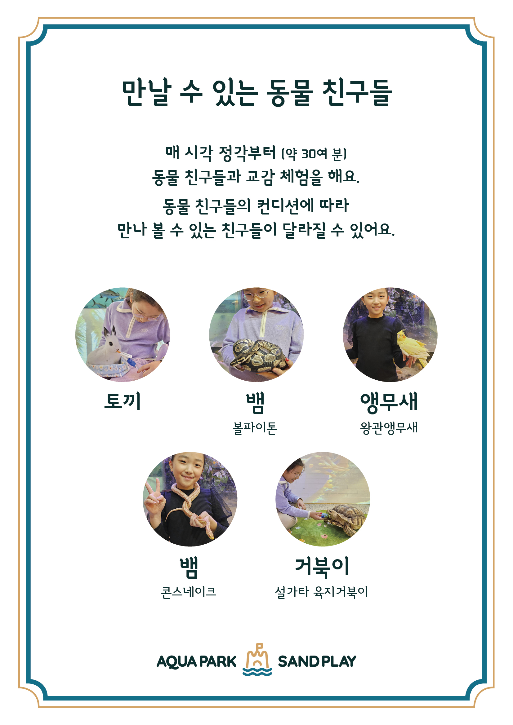 아쿠아파크&샌드플레이 사진 2