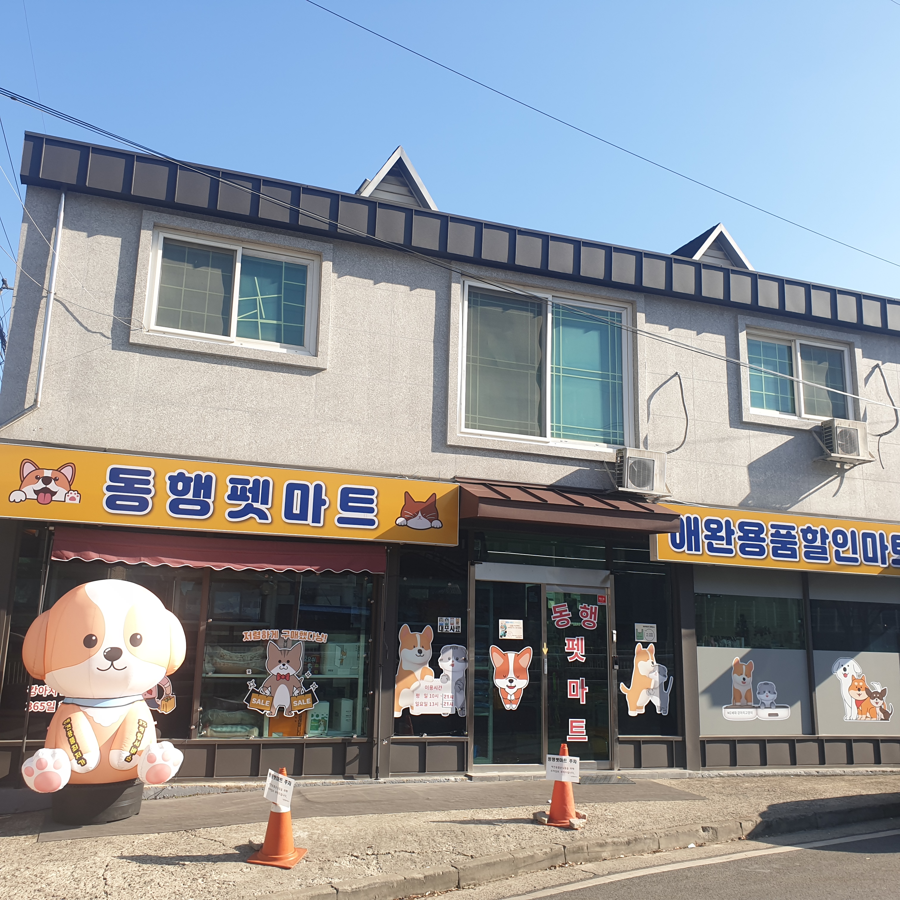 대전 동구 애견용품 전문업체 추천 강아지용품 애완용품 애견용품점 반려동물용품점 동행펫마트 할인용품점