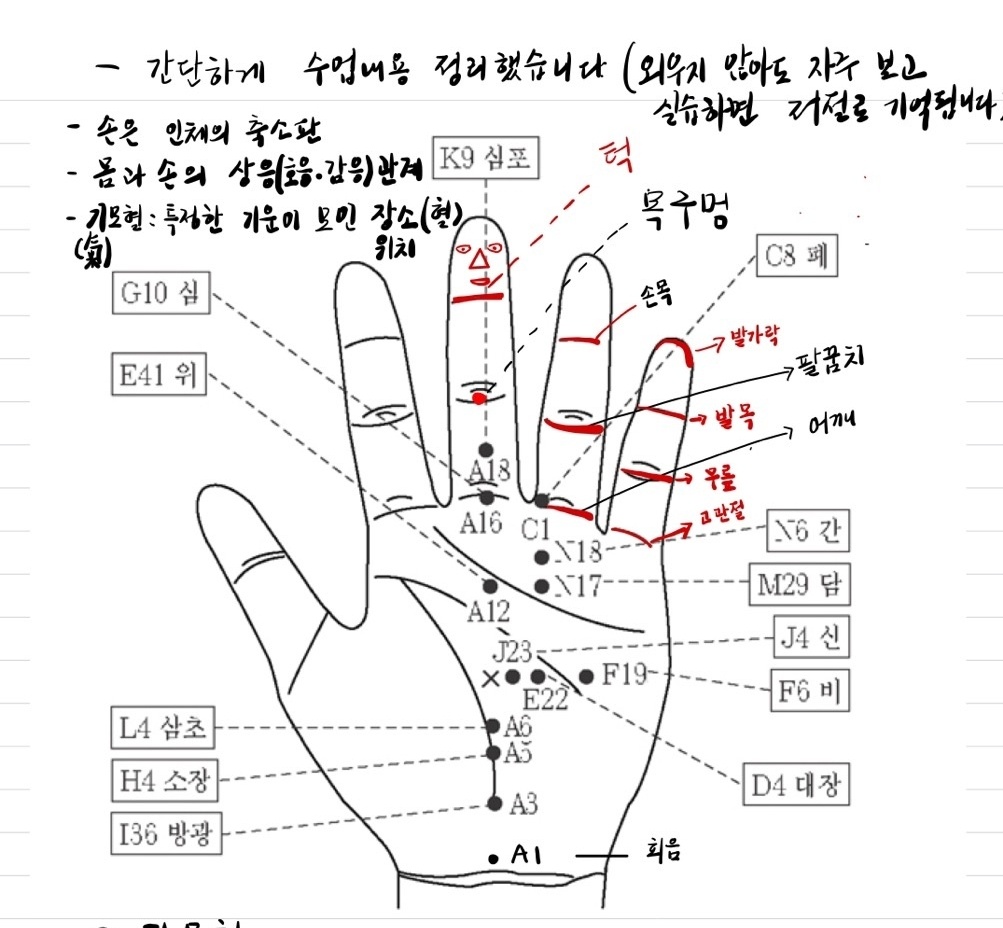 고려수지침 동해지회