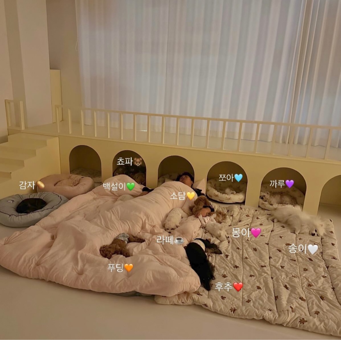 베어몽 대표 이미지