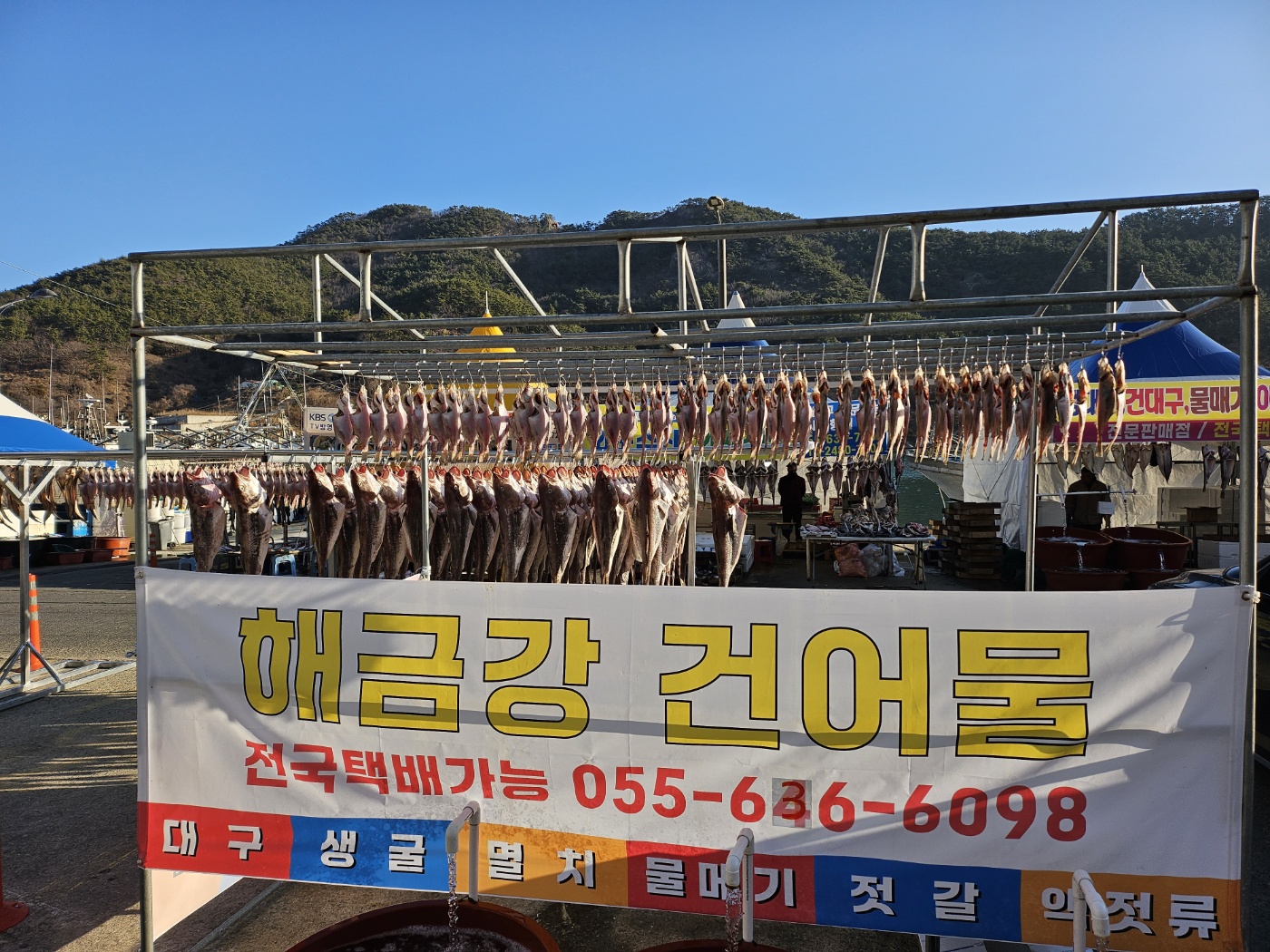 해금강건어물