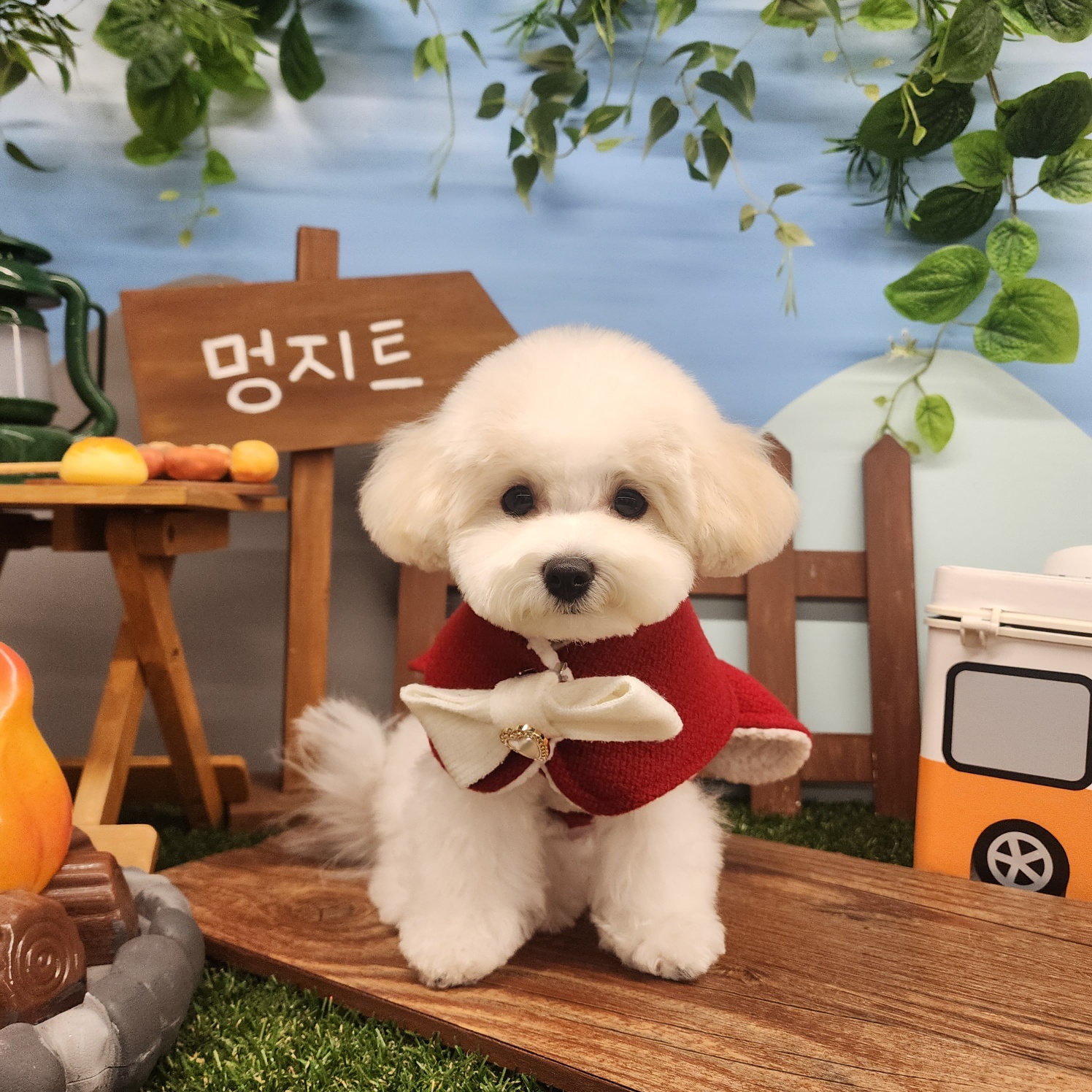 멍지트 3