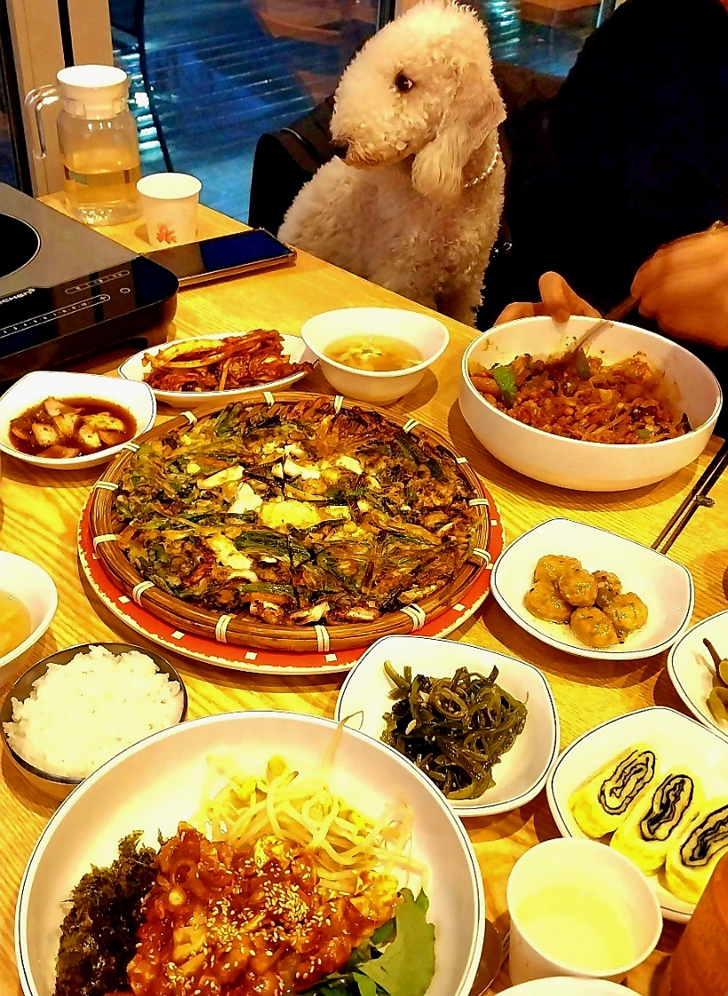 헤이리 낙지생각 2