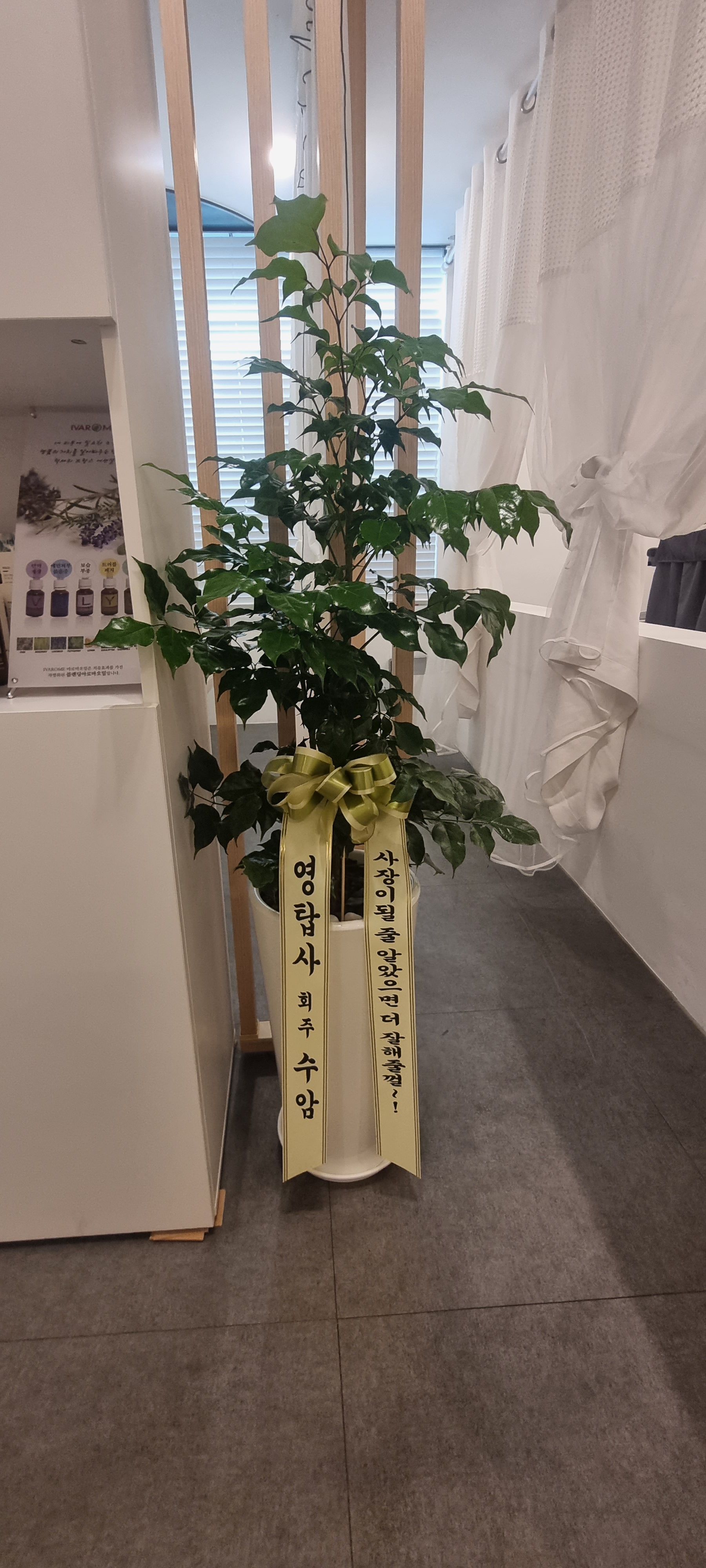 소담바디케어 대표 이미지