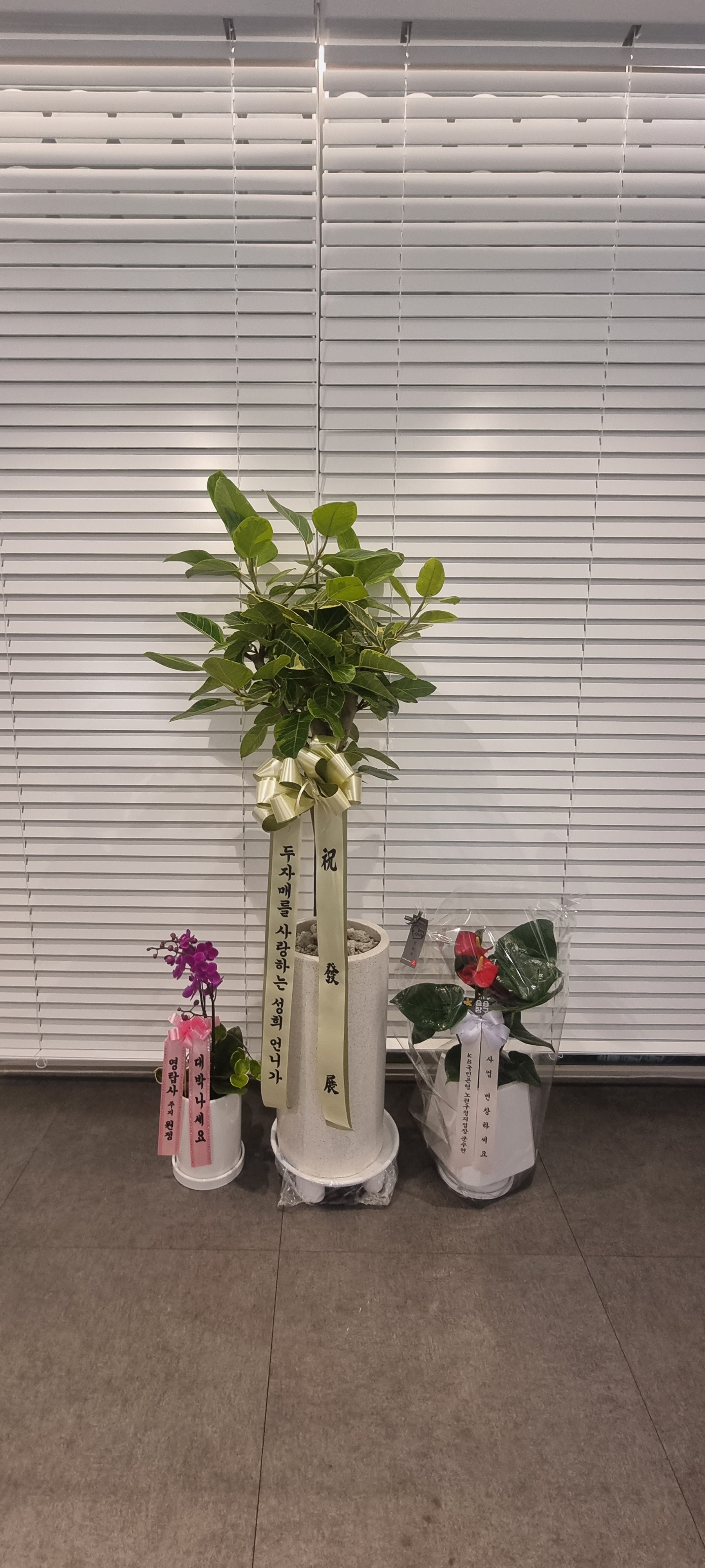 소담바디케어&제이스킨케어 대표 이미지