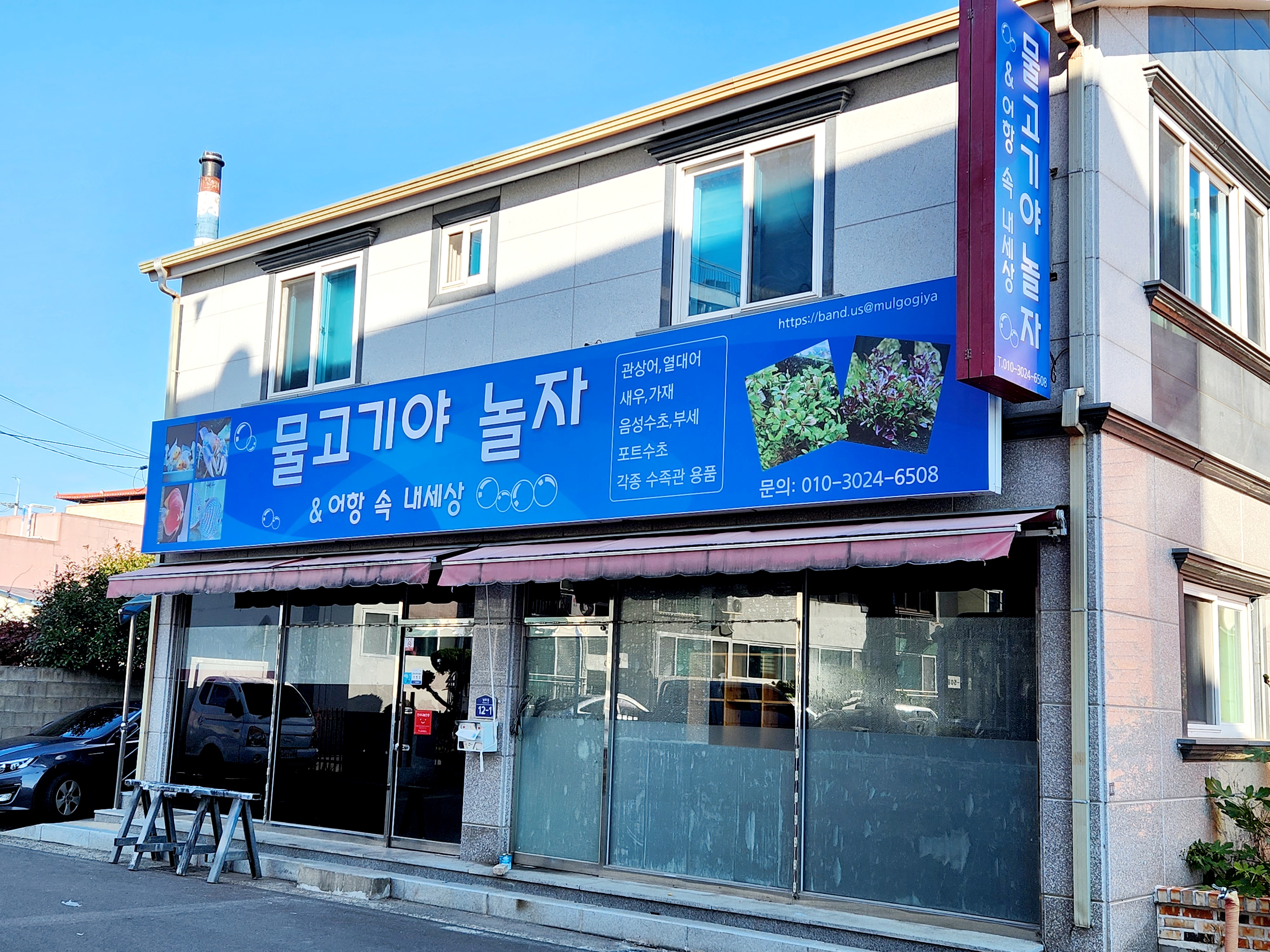 물고기야 놀자