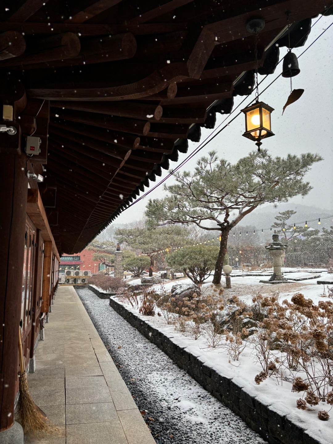 그리네 사바나