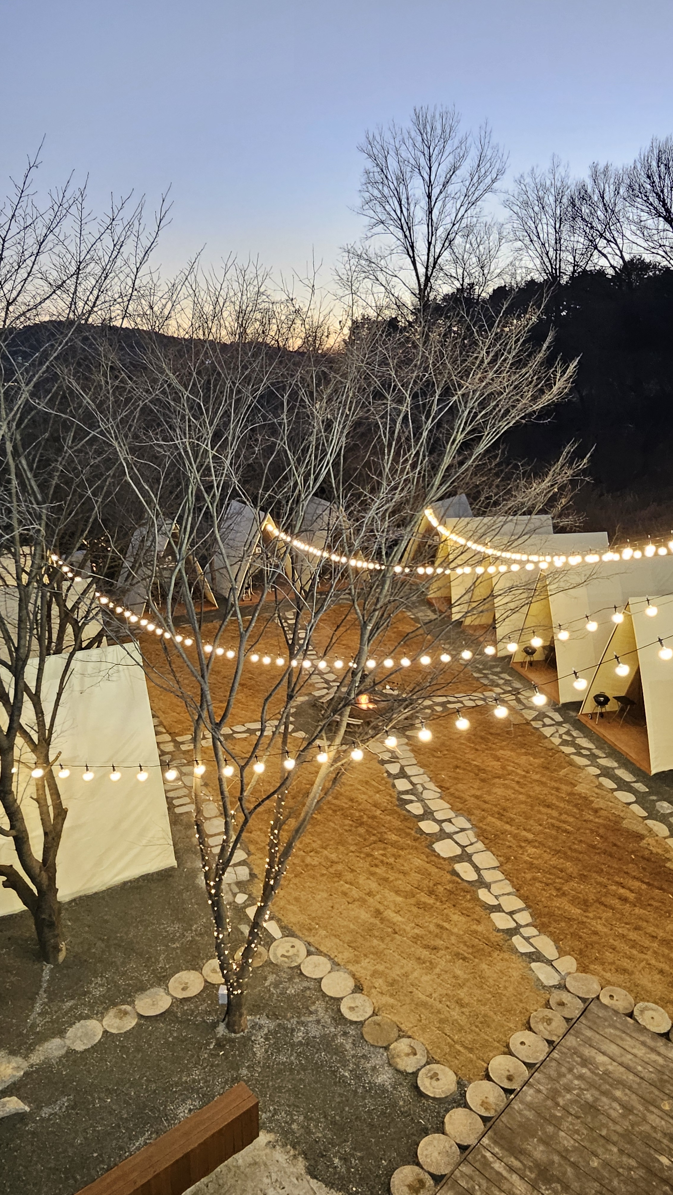 바베큐팩토리 유성점 반려동물 동반 맛집