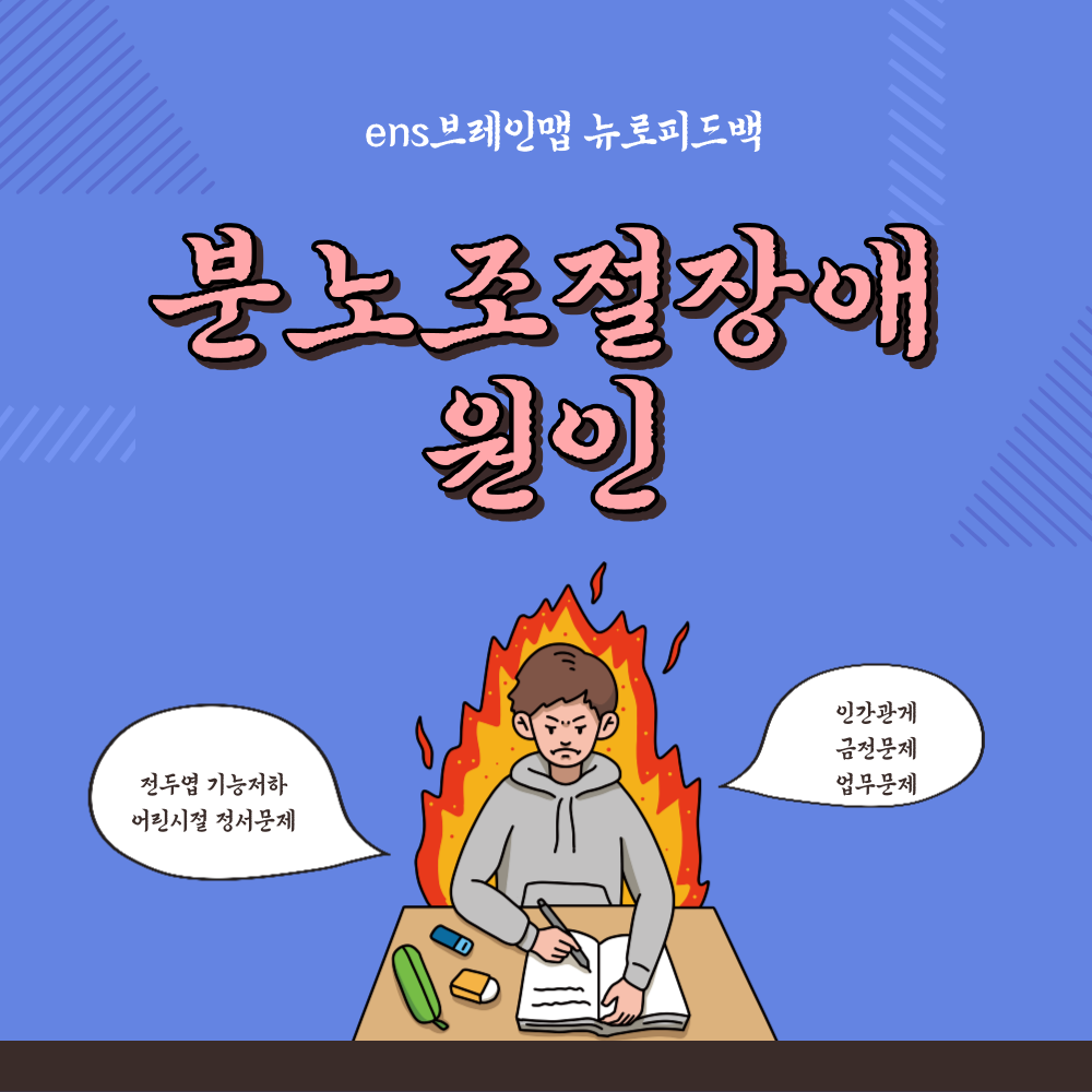 ENS브레인맵 대표 이미지