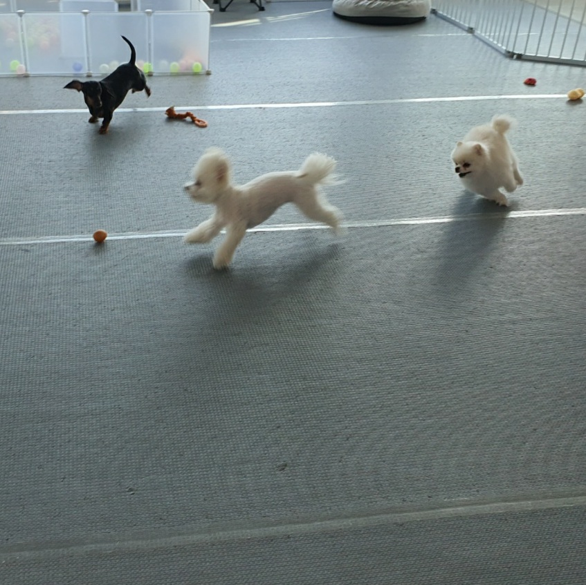 헬로멍 대표 이미지