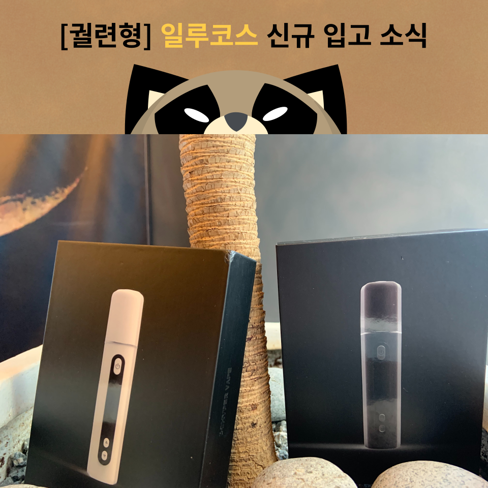 송파 너구리굴 전자담배 문정점