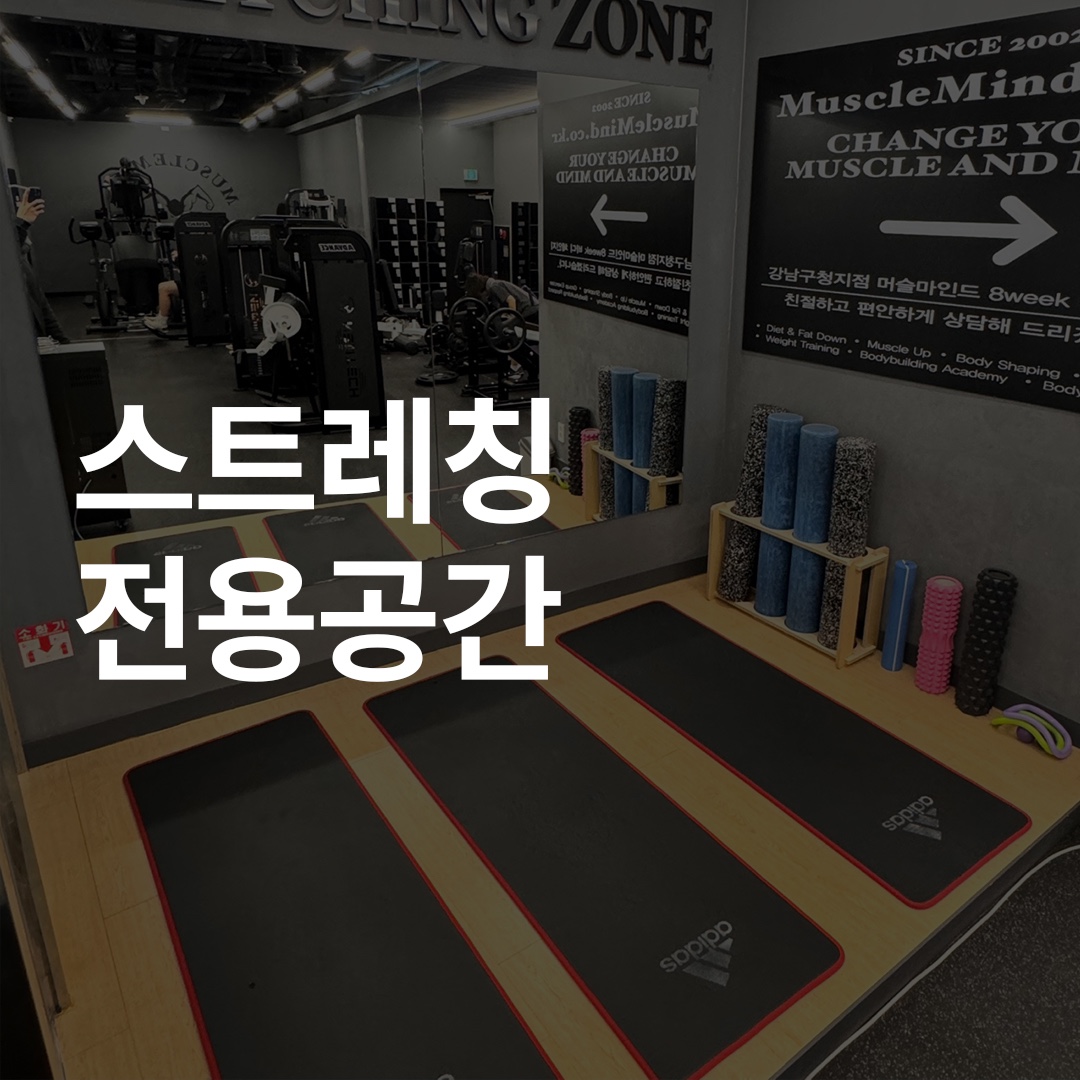 머슬마인드PT&헬스 강남구청점