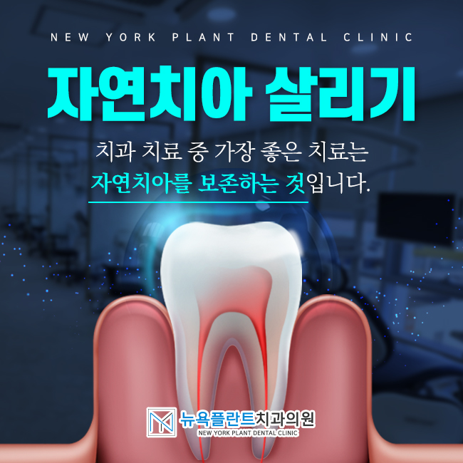 뉴욕플란트치과의원