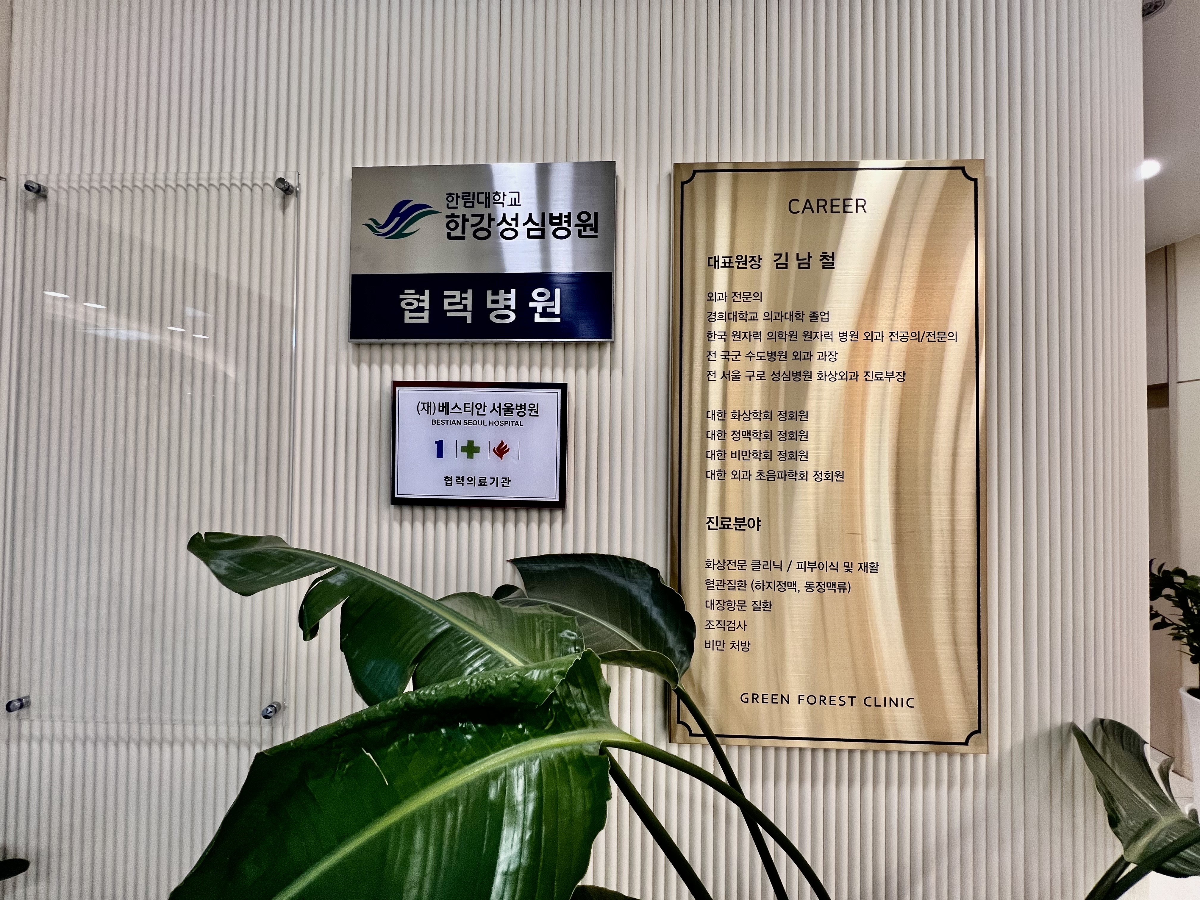 푸른숲외과의원