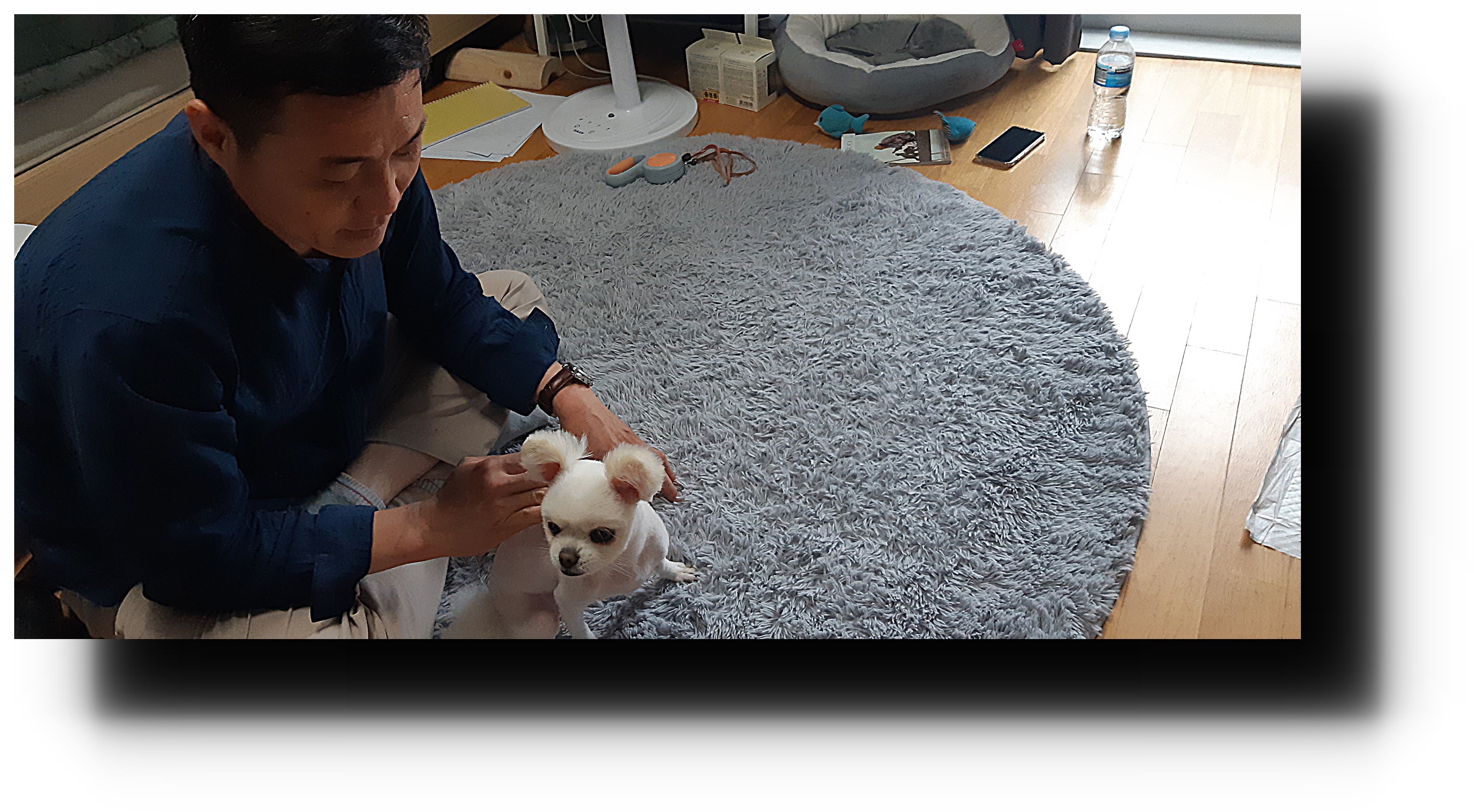 낭창한강아지 대표 이미지