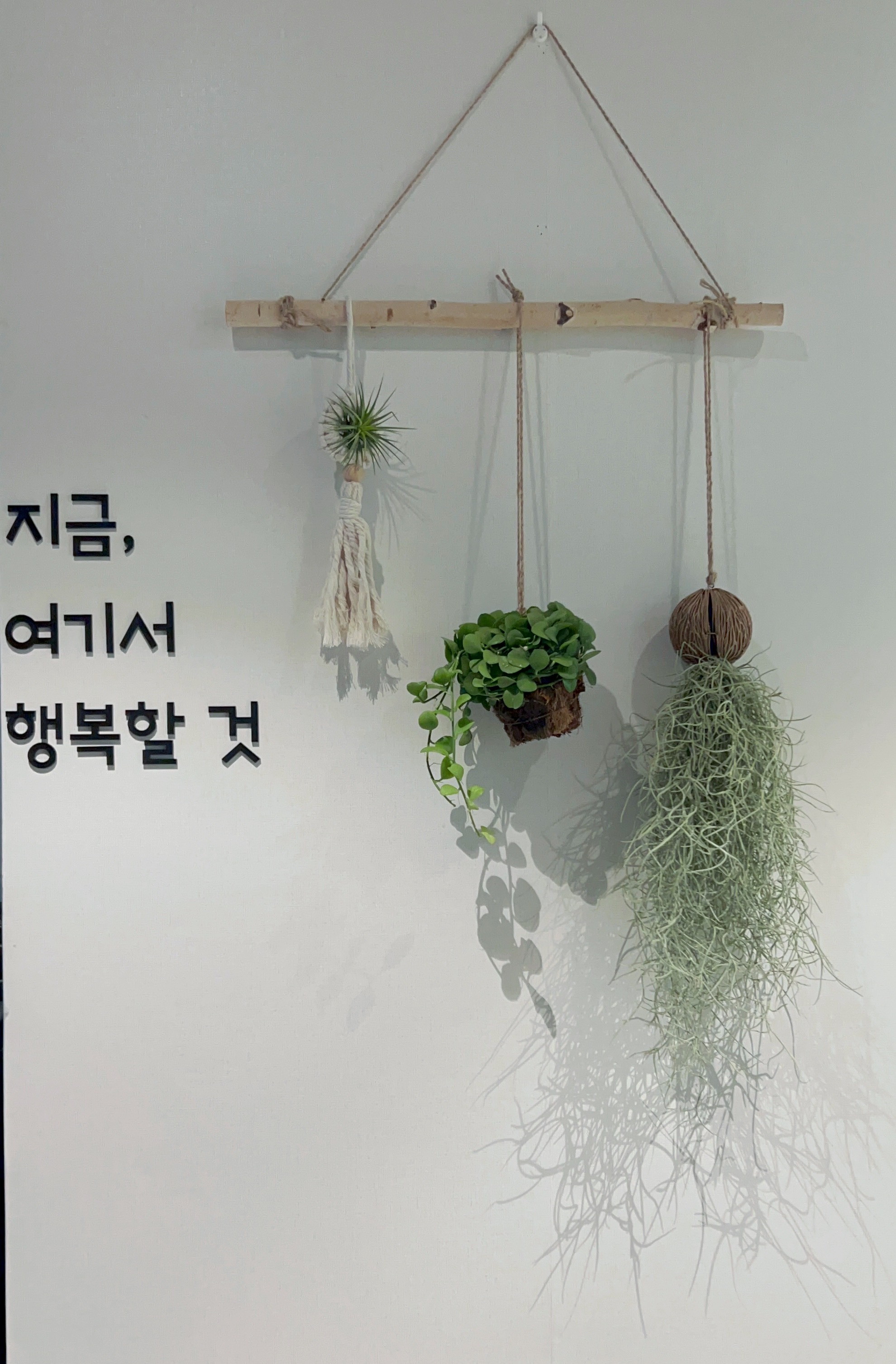 더쉼테라피앤마사지 창원점 photo 10