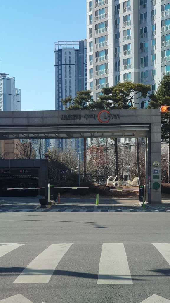 휴먼아트기획