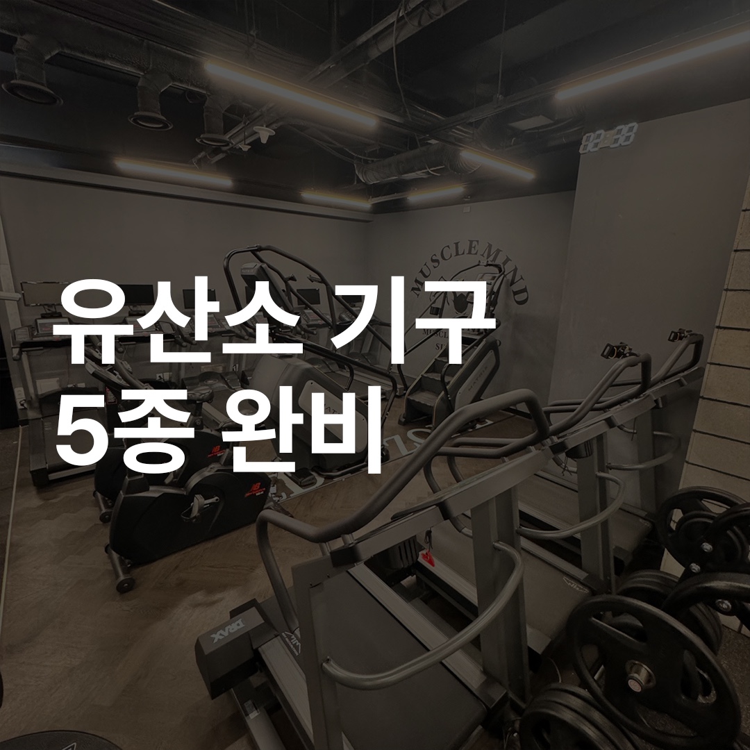 머슬마인드PT&헬스 강남구청점