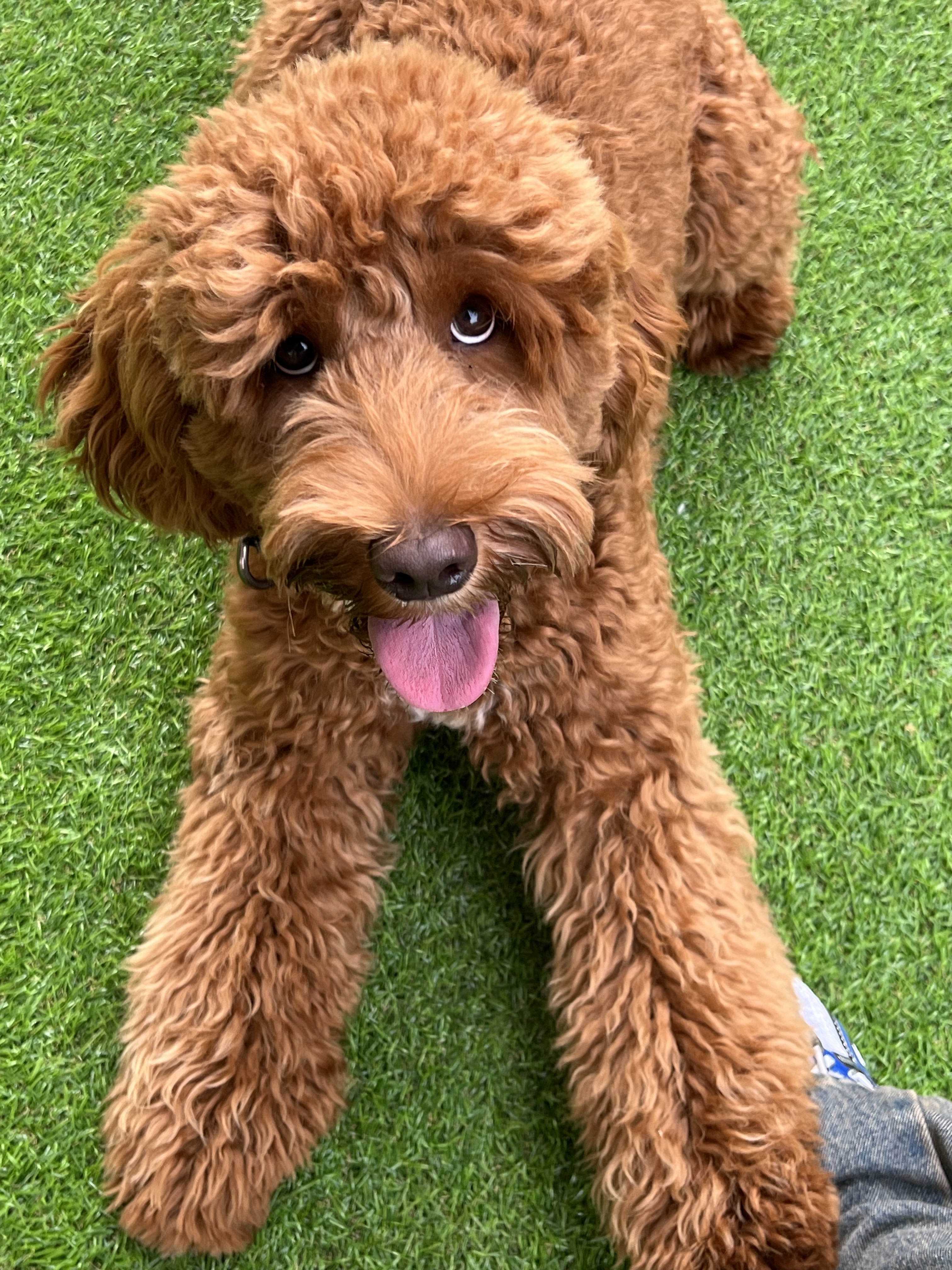 펫타리움 청담점 대표 이미지