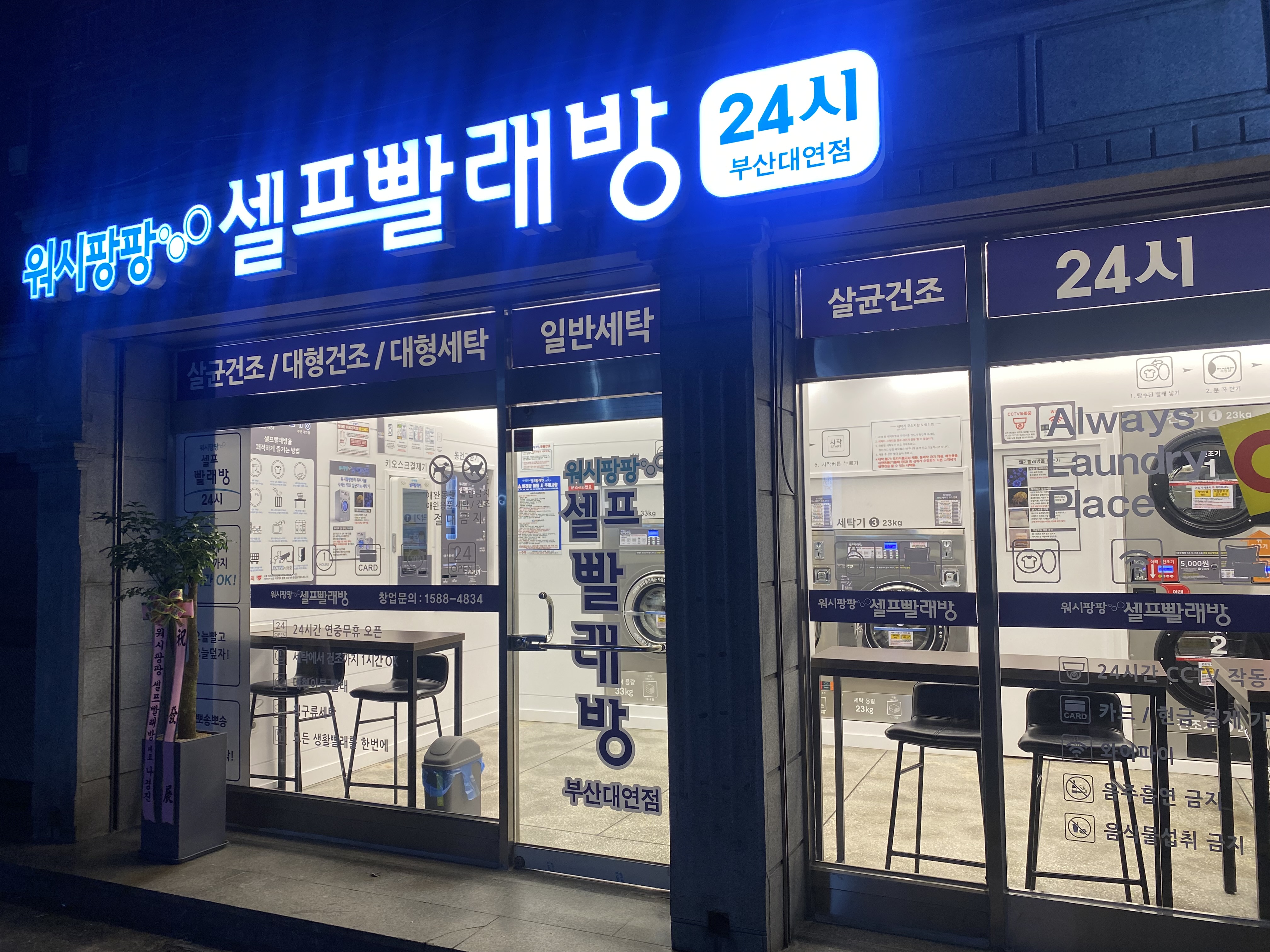 워시팡팡 부산대연점