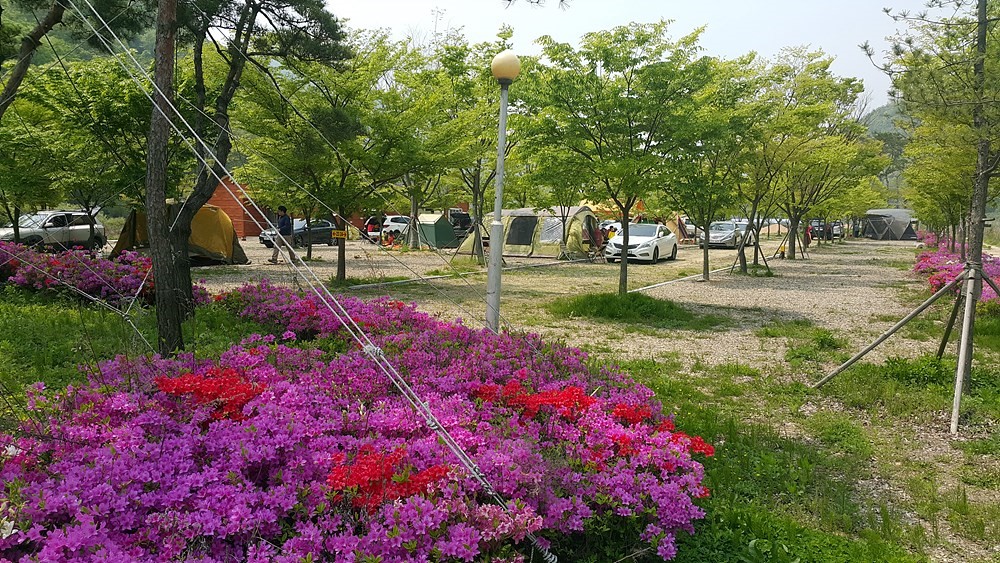 펀펀오토캠핑장
