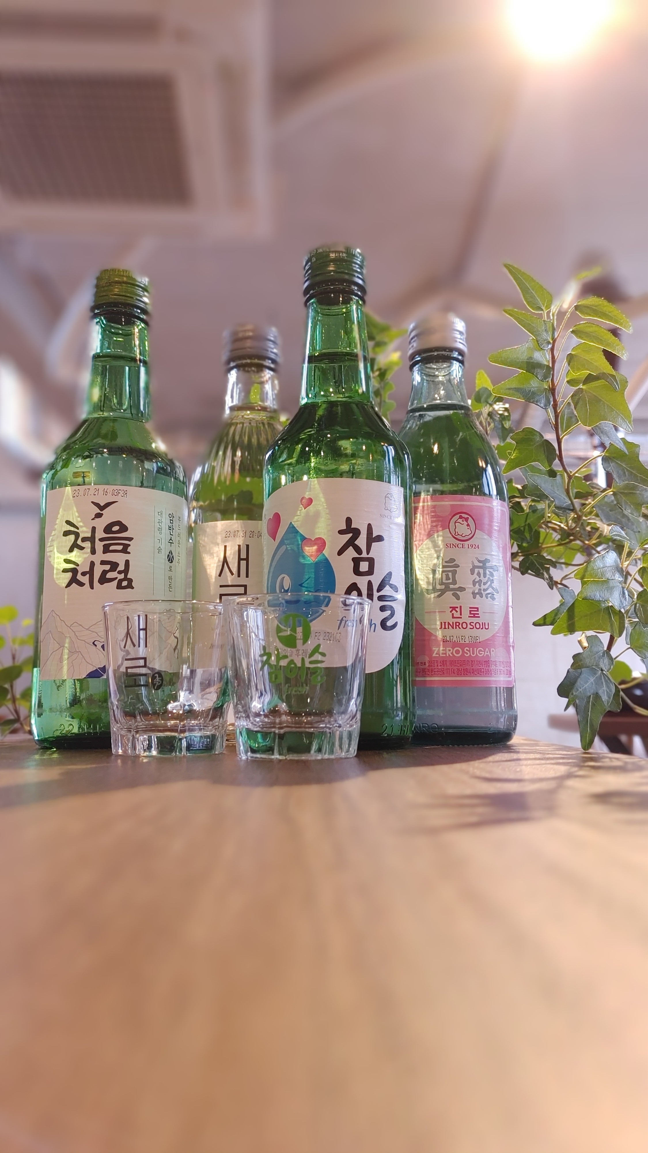 플라잉카우