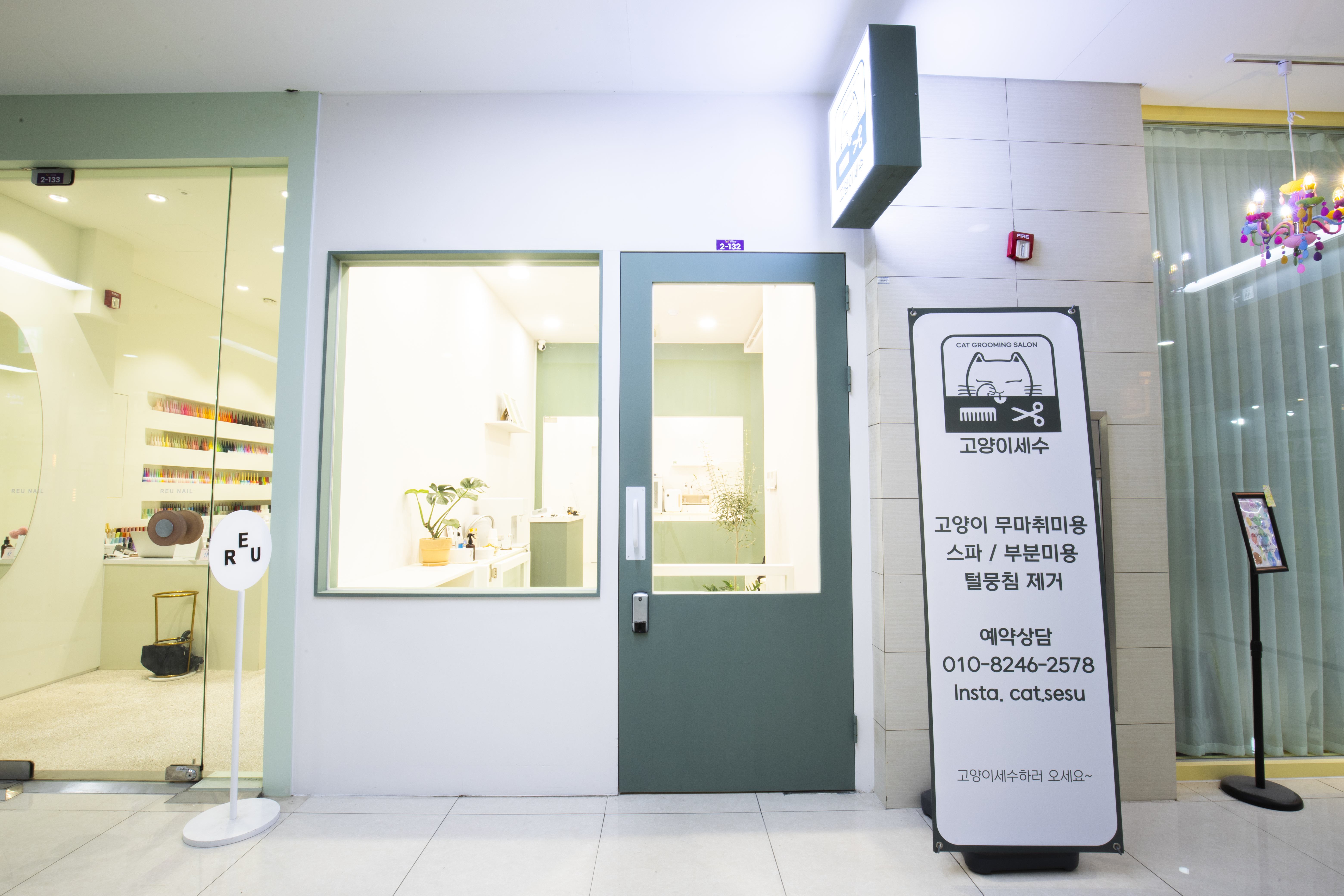 고양이세수 대표 이미지