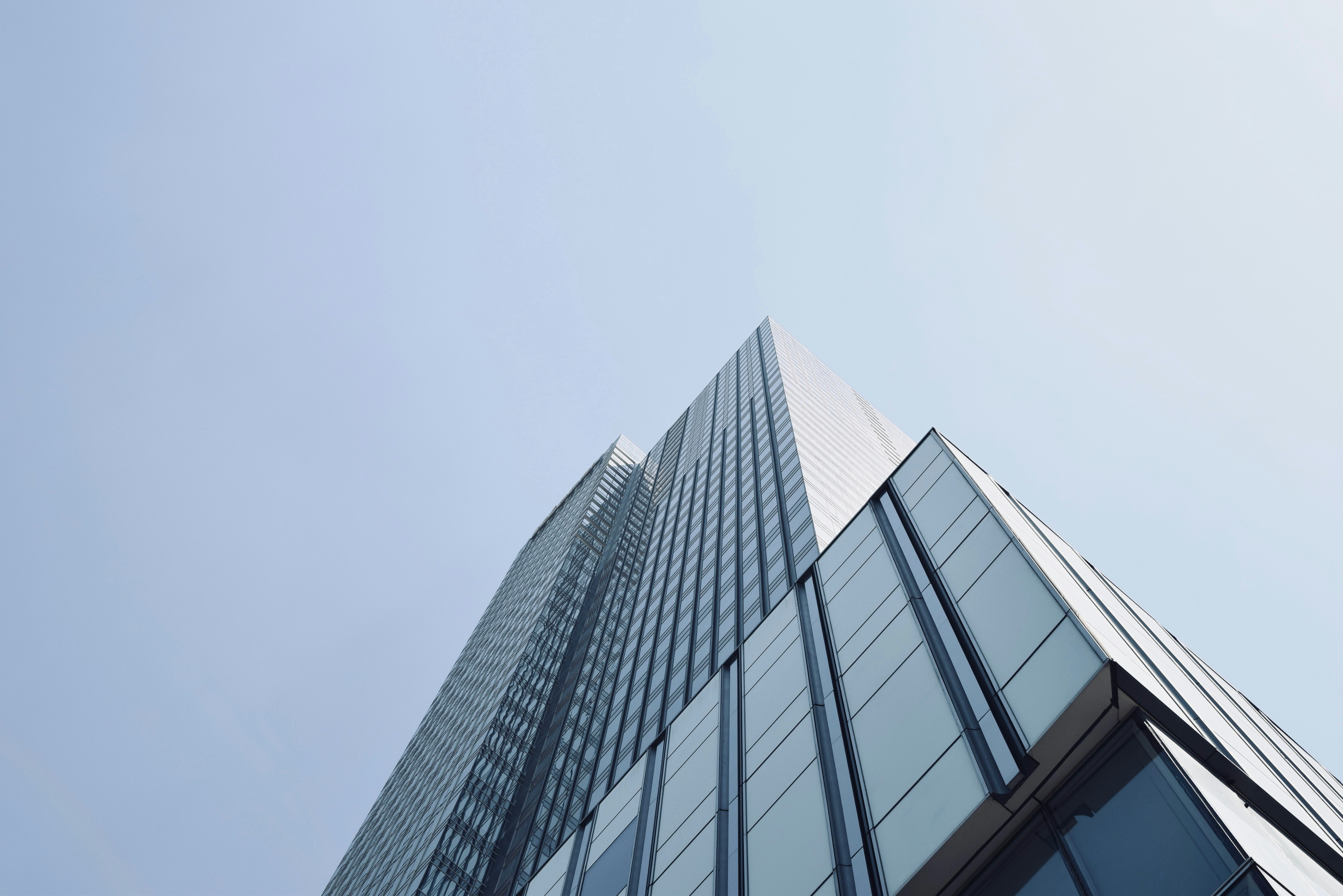 이상한사무실 이미지