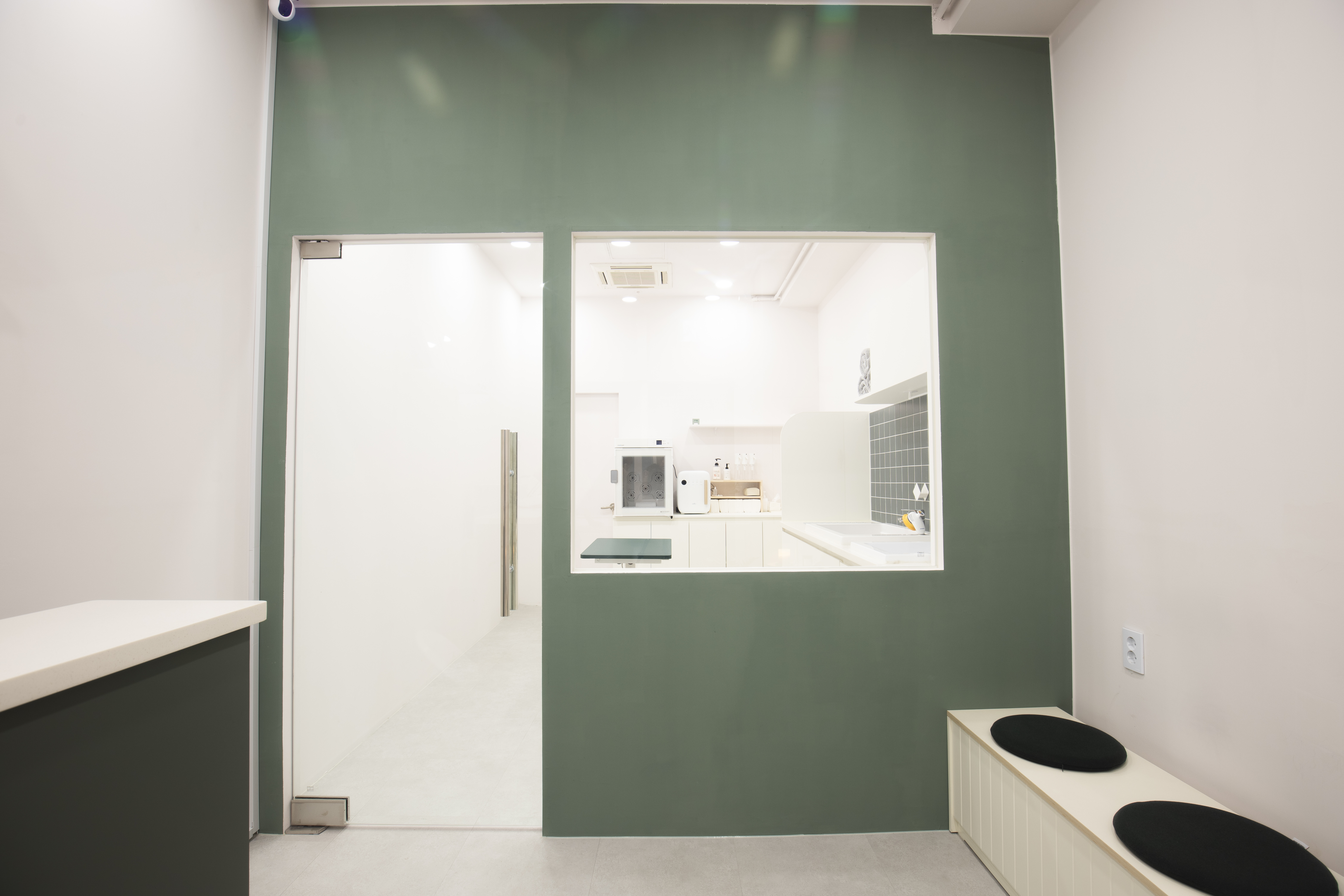 고양이세수 대표 이미지