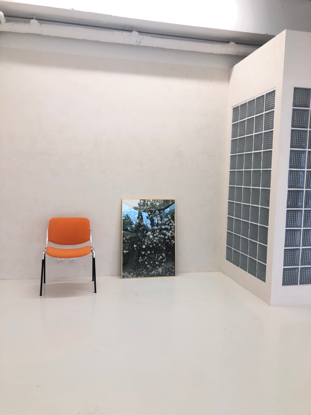 리보아르 대표 이미지