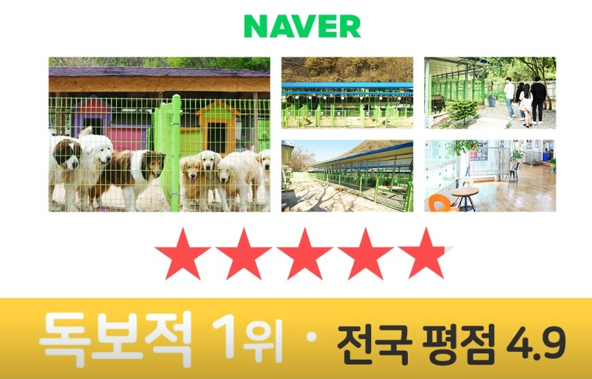 대형견프리미엄아울렛