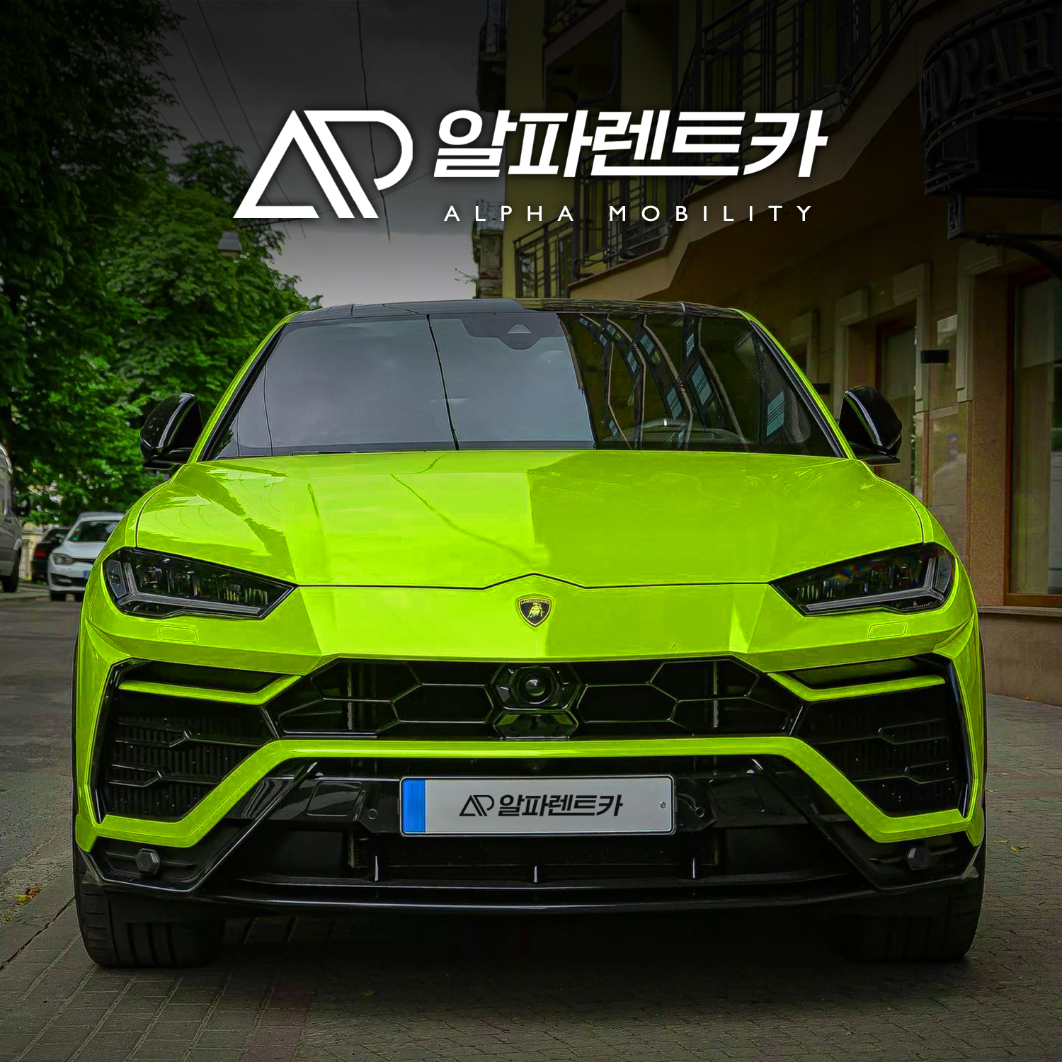 알파렌트카 강서영업소