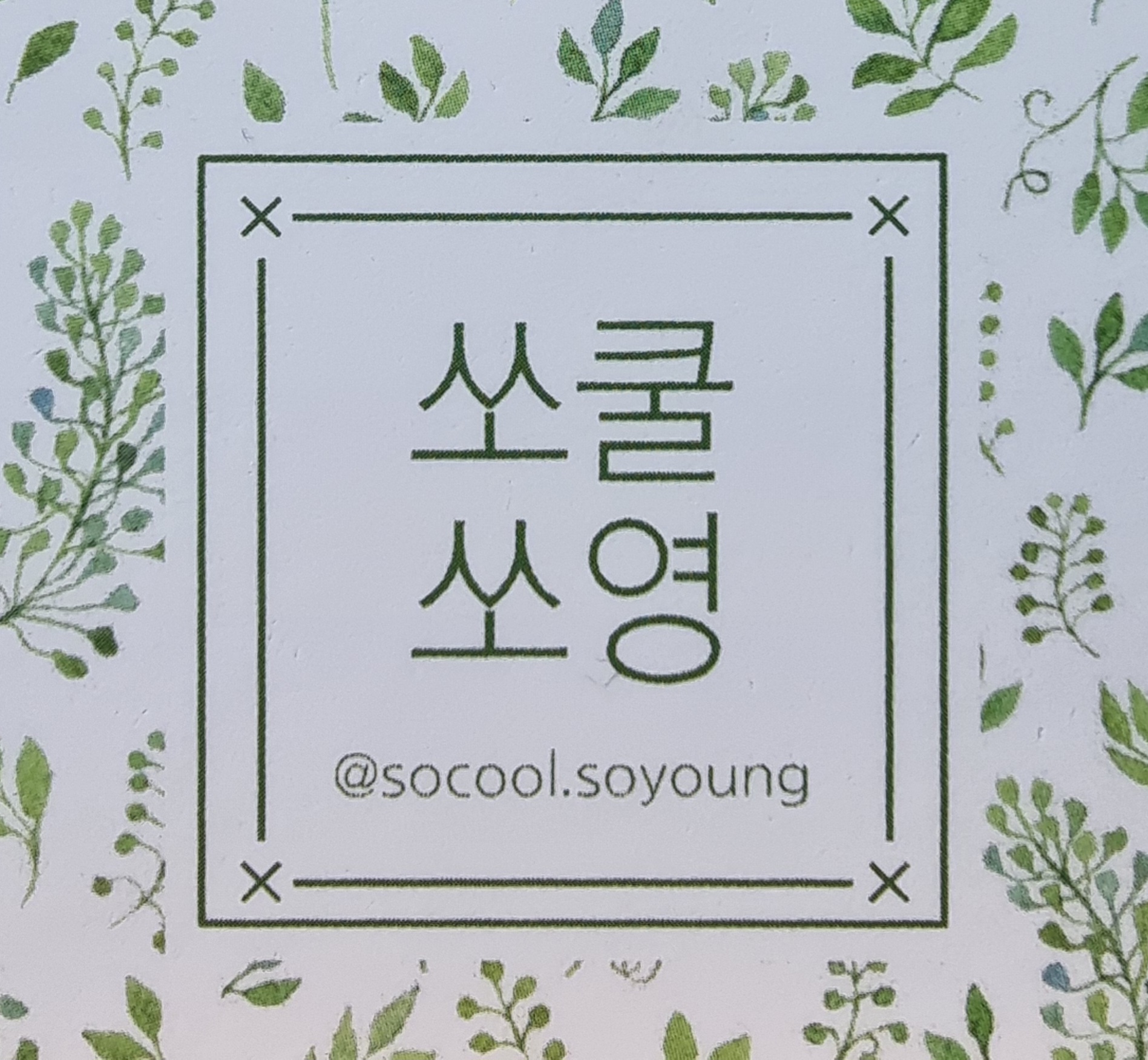 쏘쿨쏘영