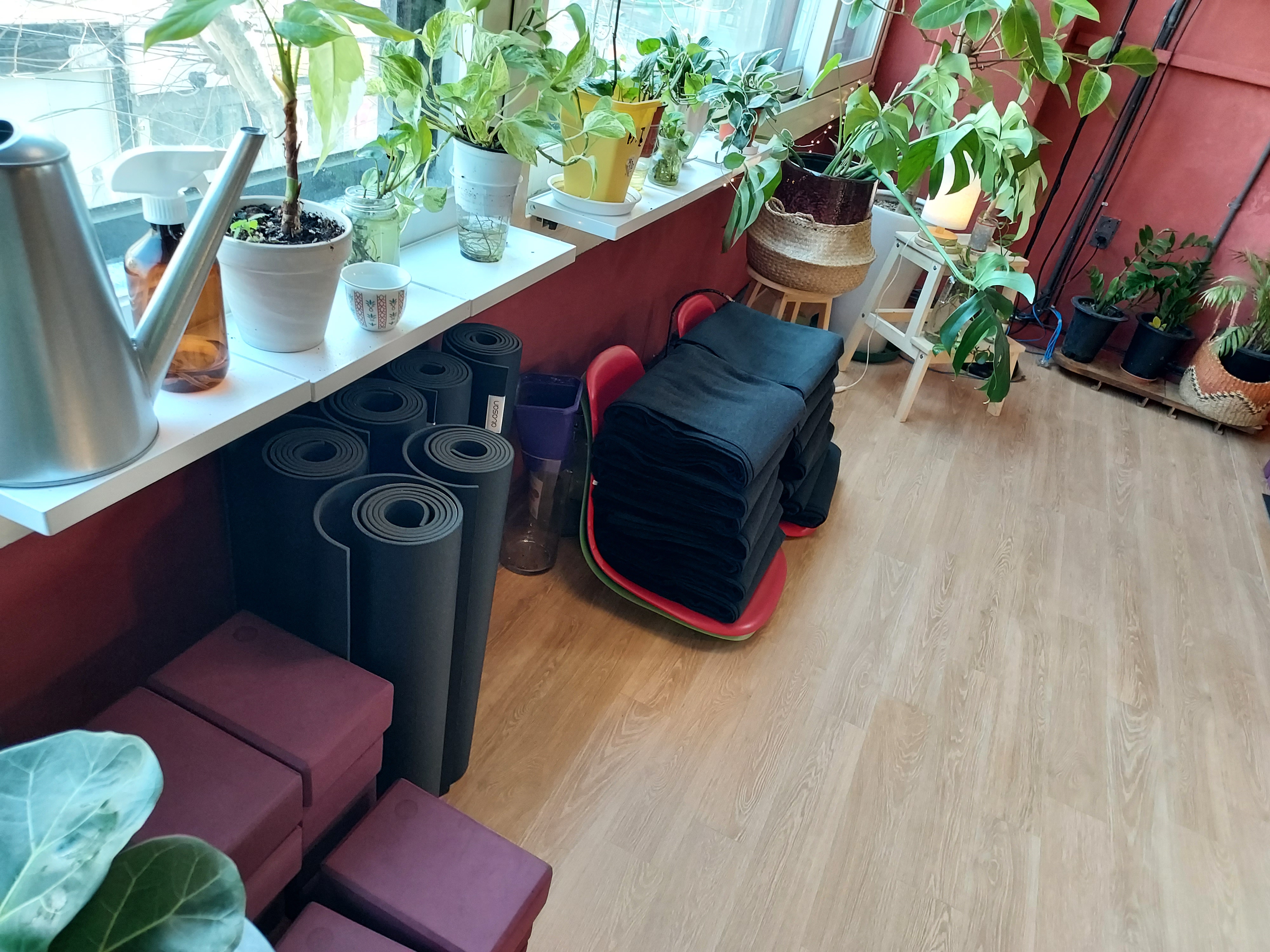 브루클린요가인서울 대표 이미지