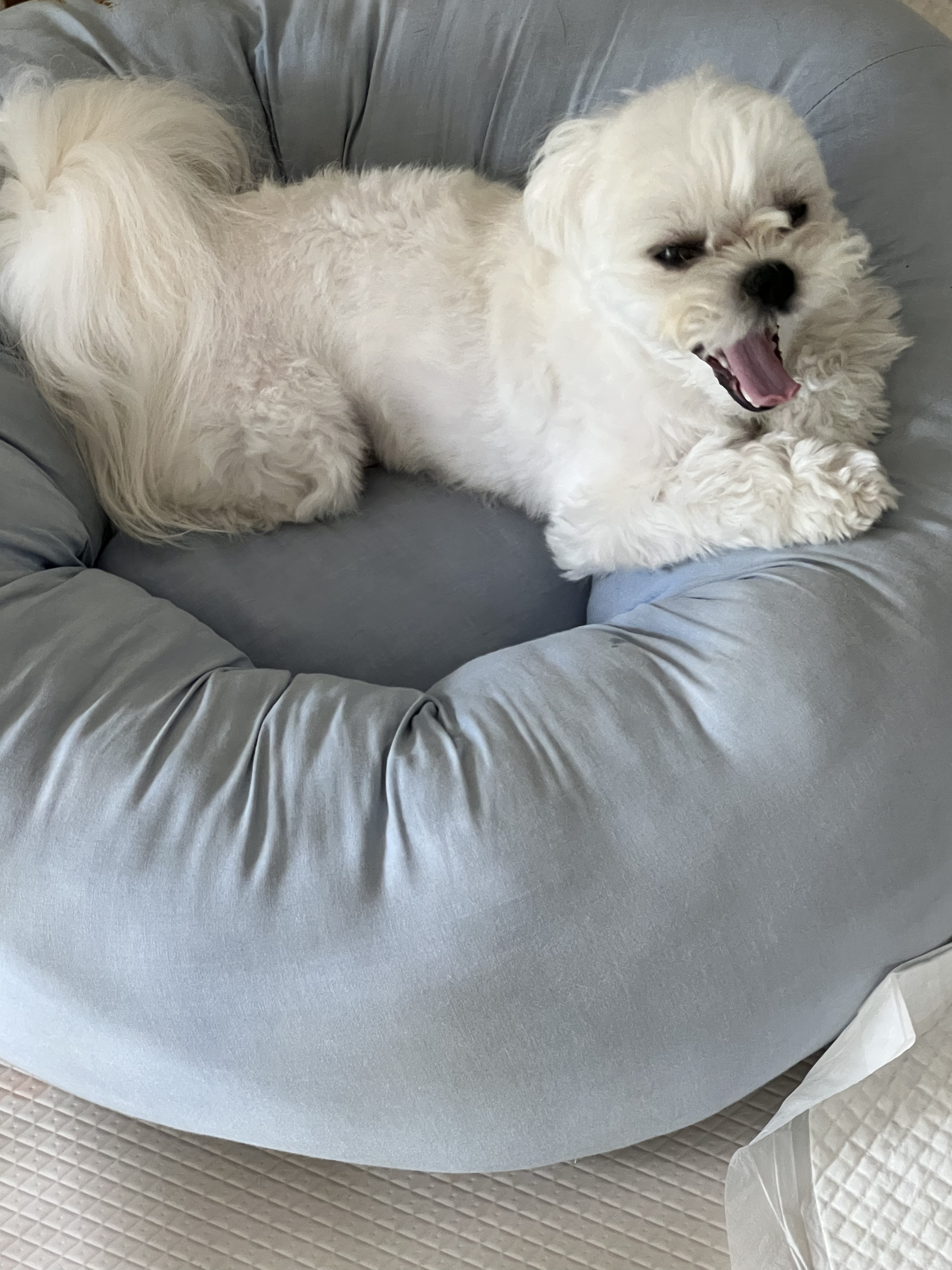 후추하우스 대표 이미지