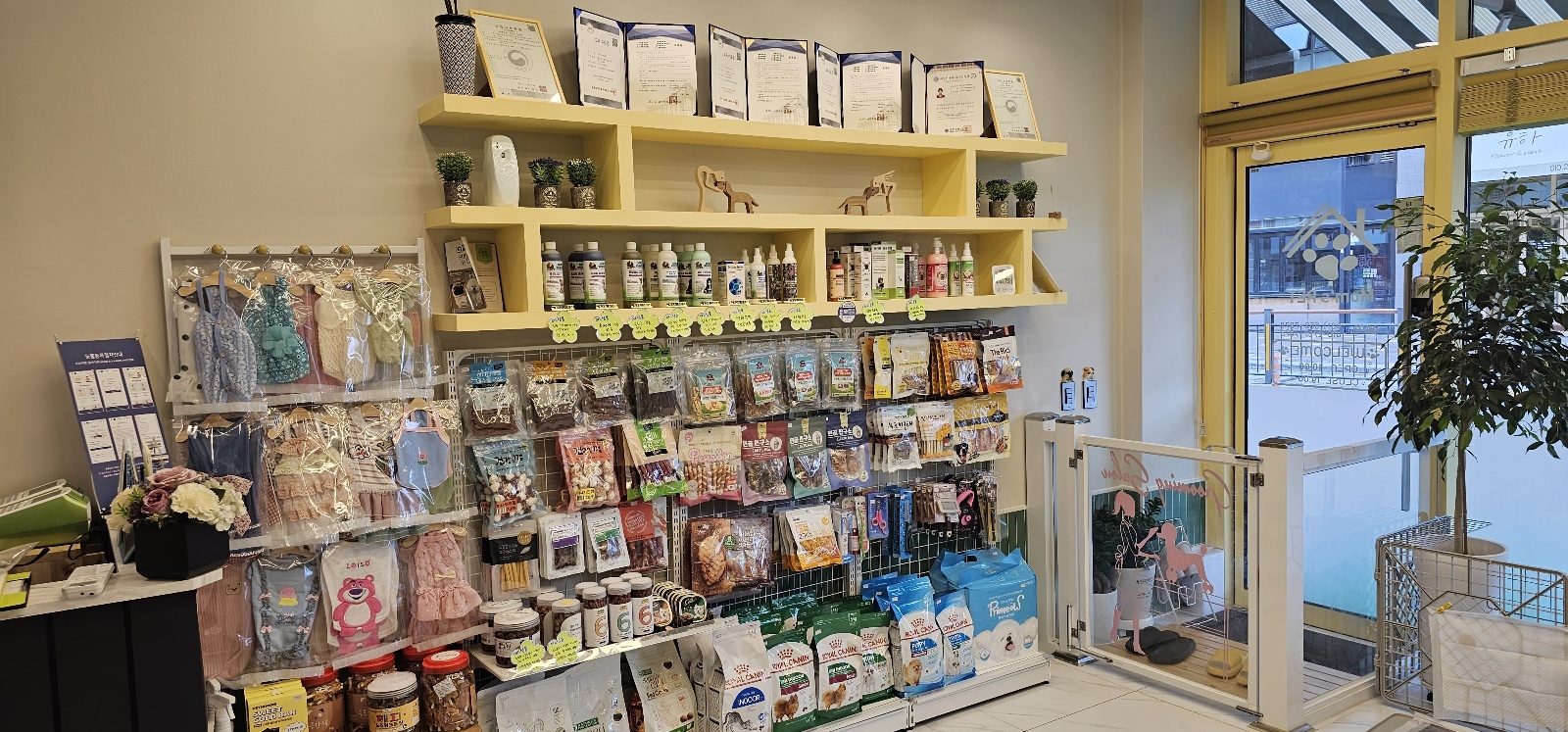 맘스펫 다산애견미용 호텔 가위컷 대표 이미지