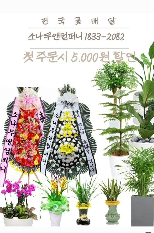강릉아산병원장례식장근조화환꽃집