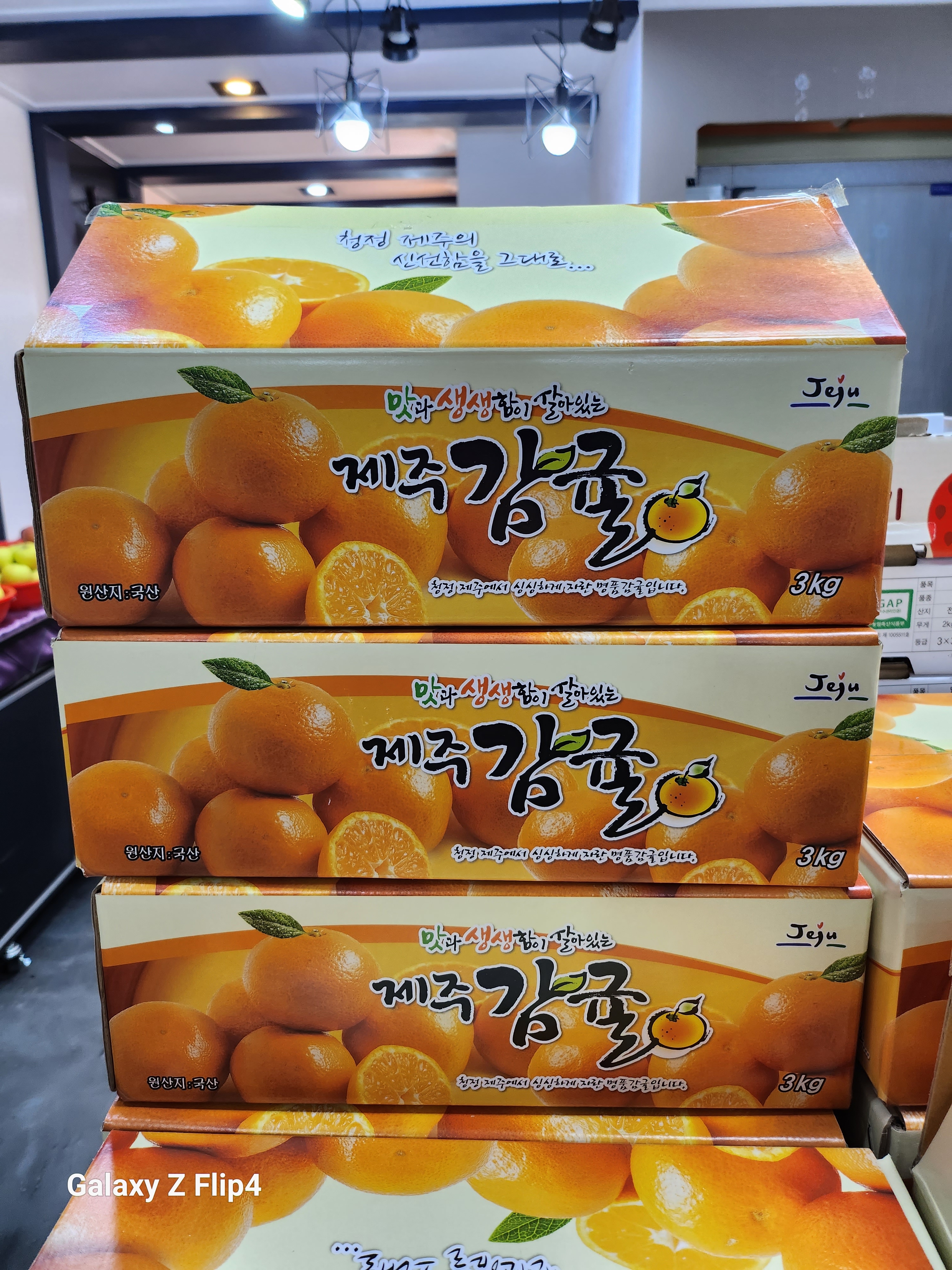 에덴청과모스테라