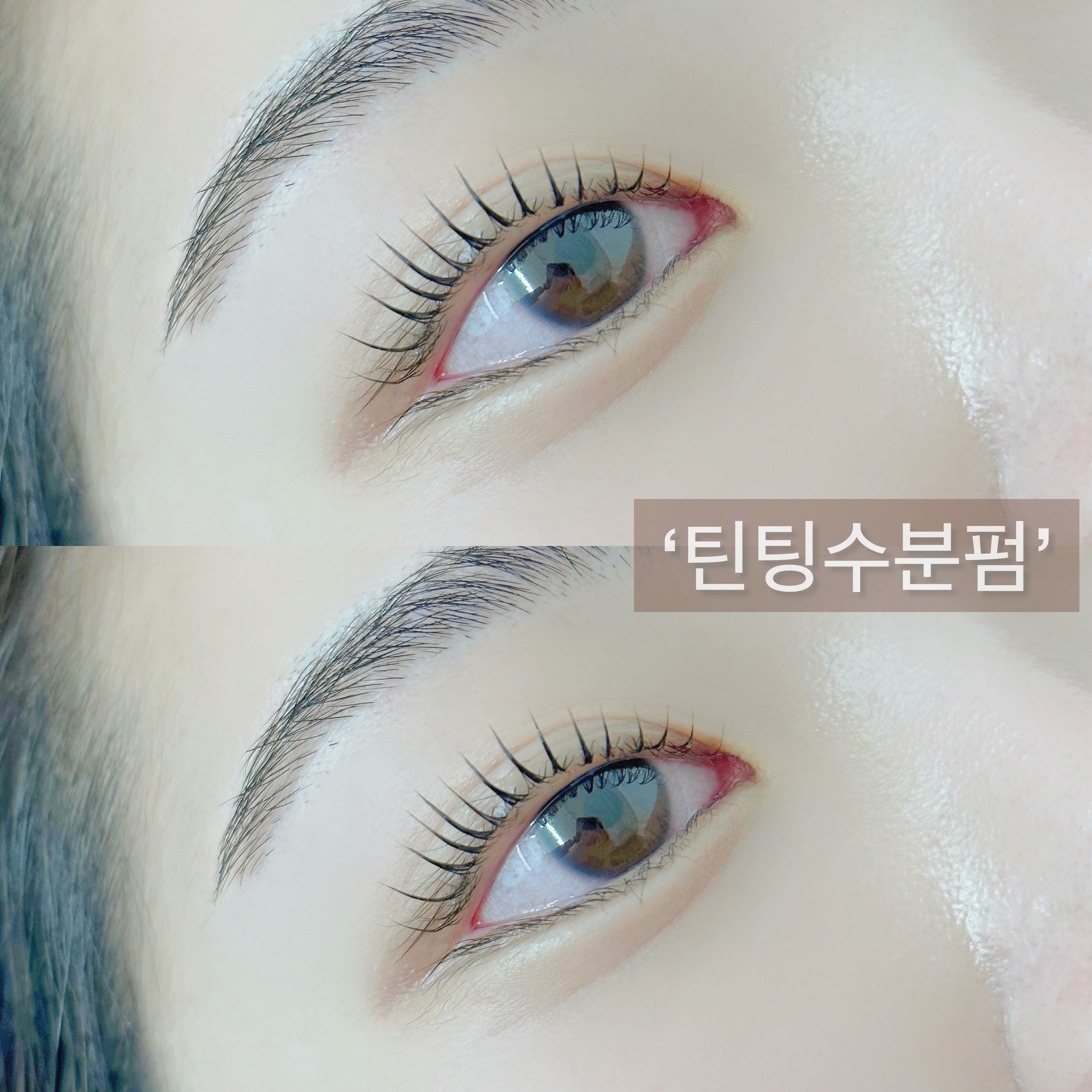 솔쉐프 반려동물 동반 애견카페