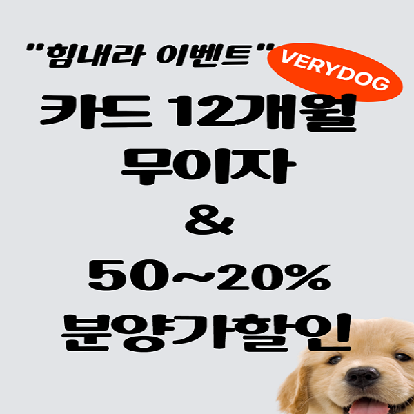 베리독 강아지고양이 평택본점