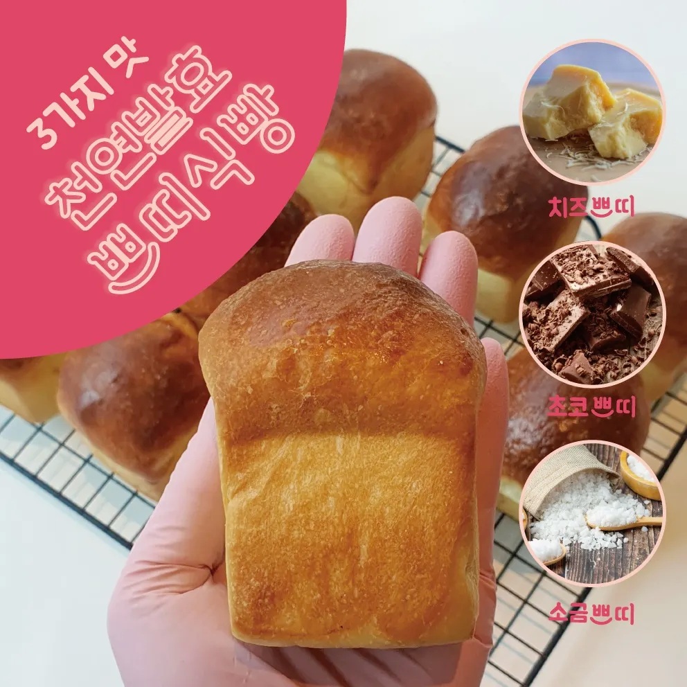 미즈로아