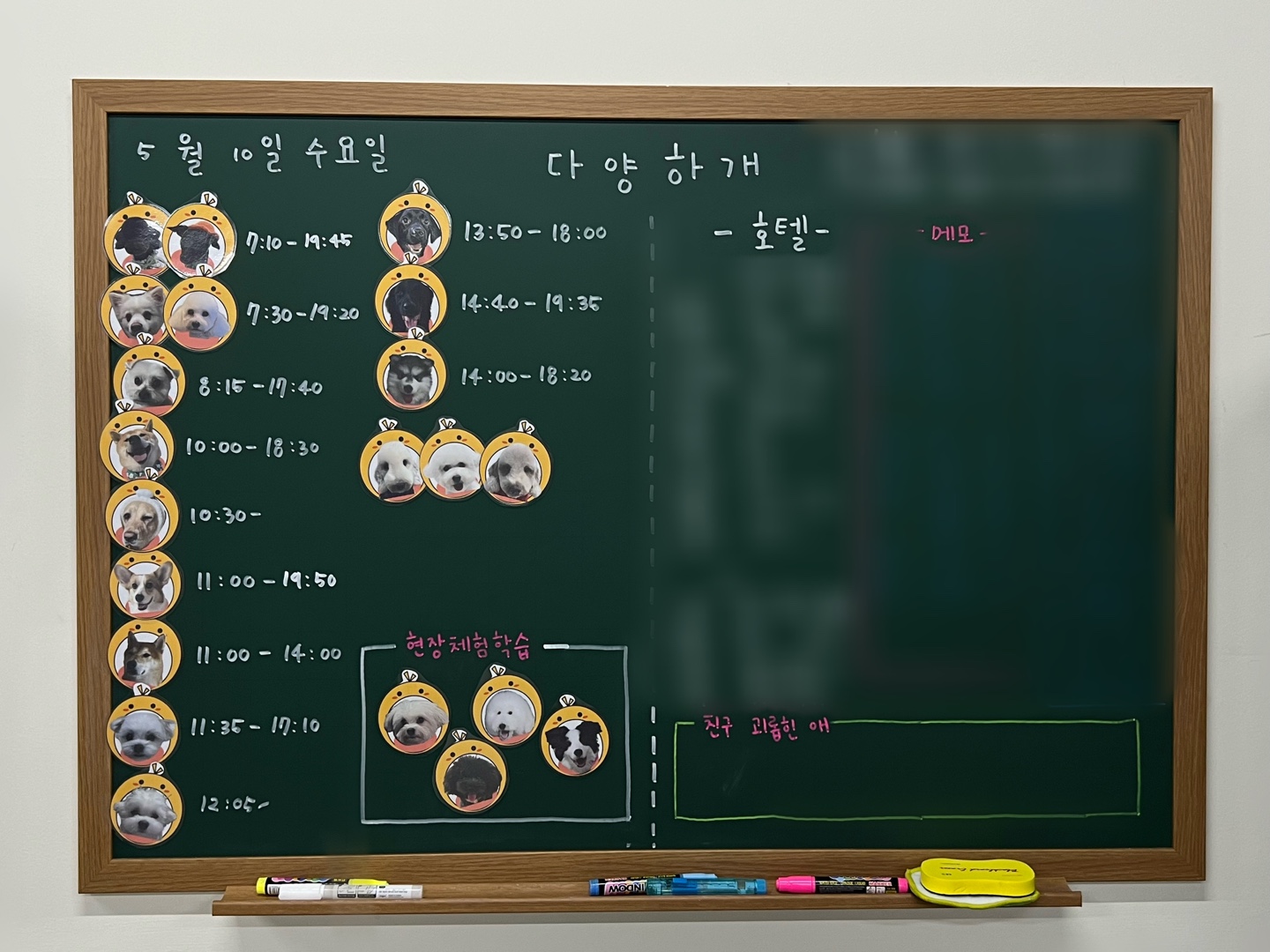 다양하개 3