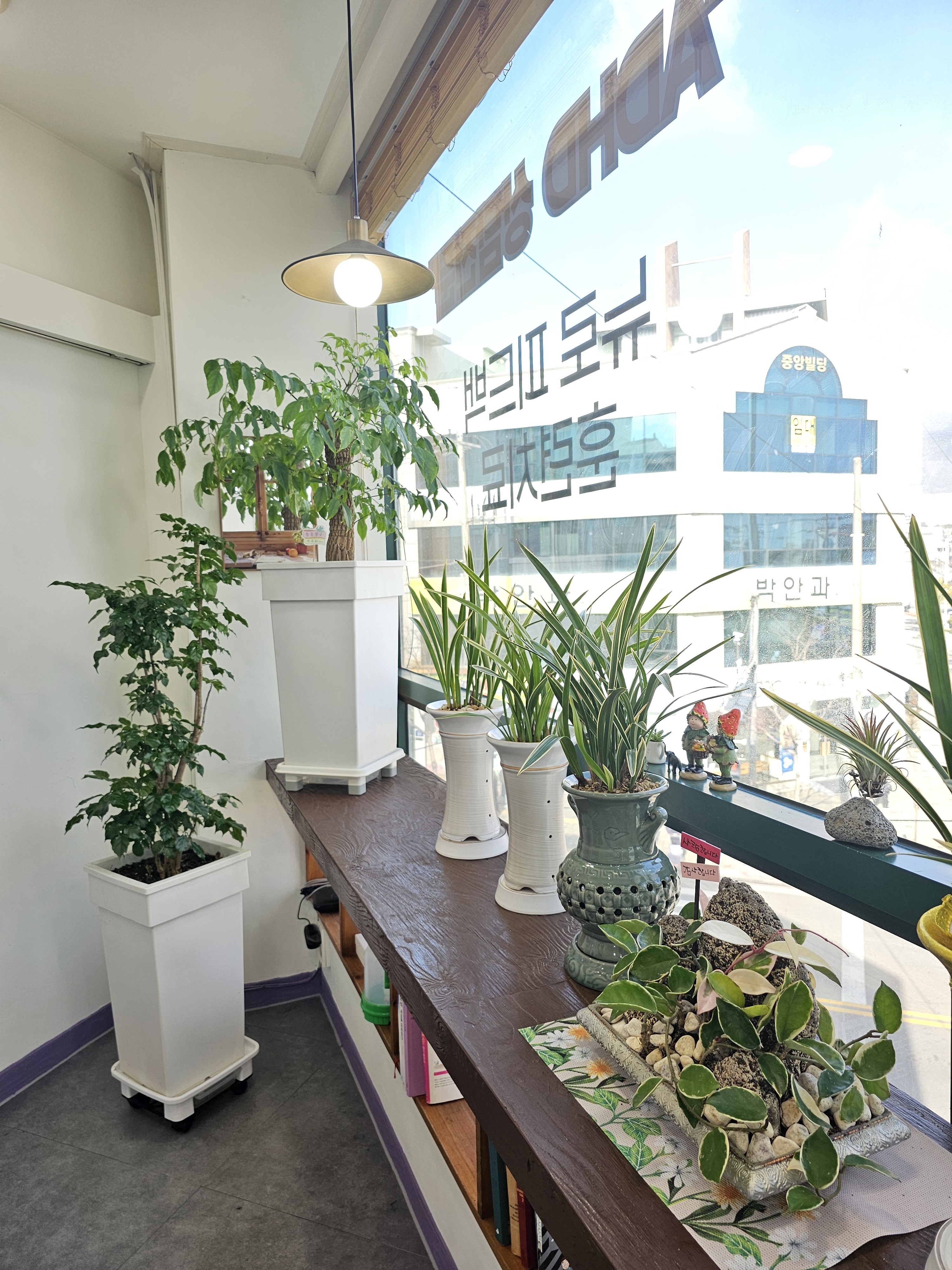 백만심리케어 대표 이미지