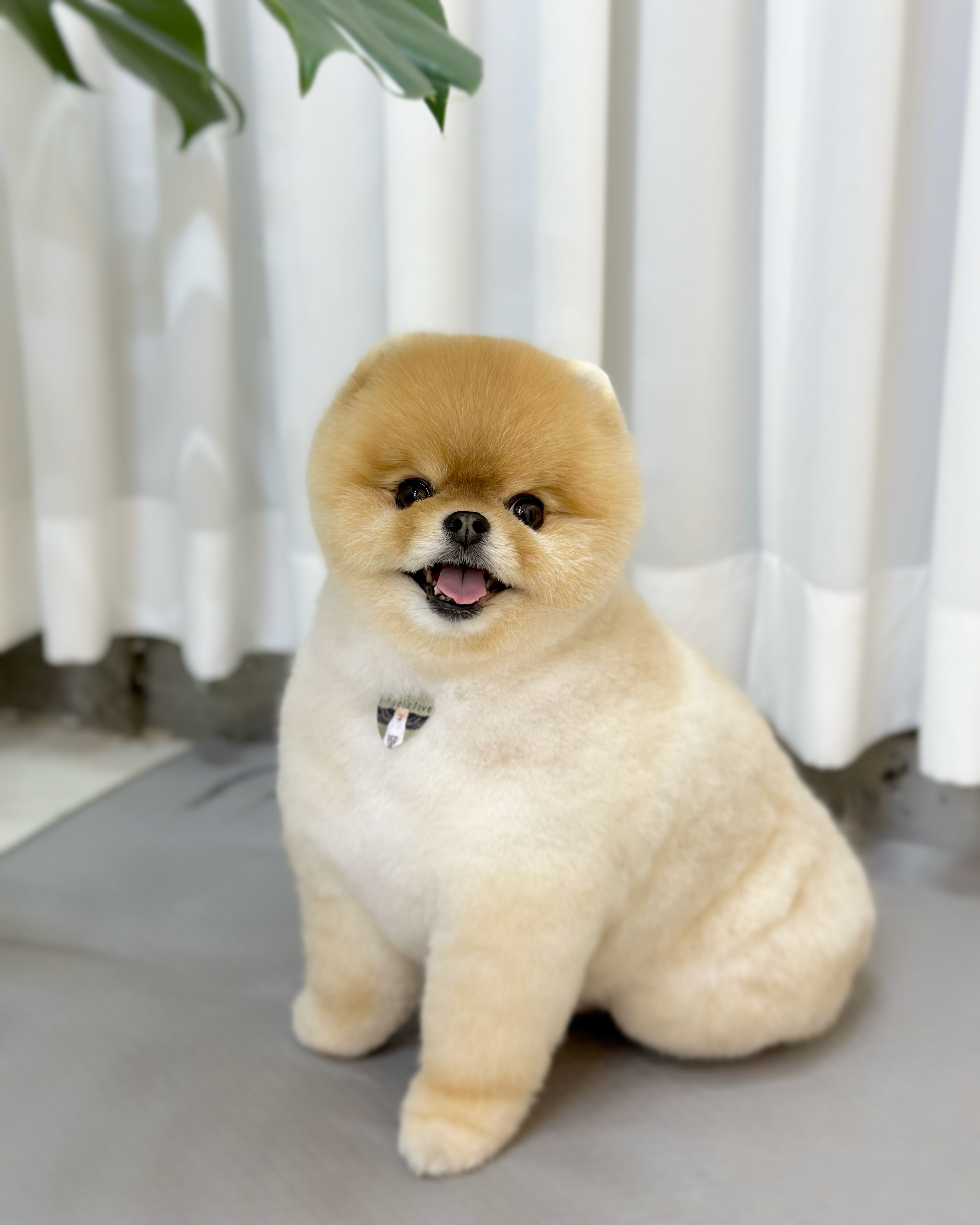 해피모먼츠 대표 이미지