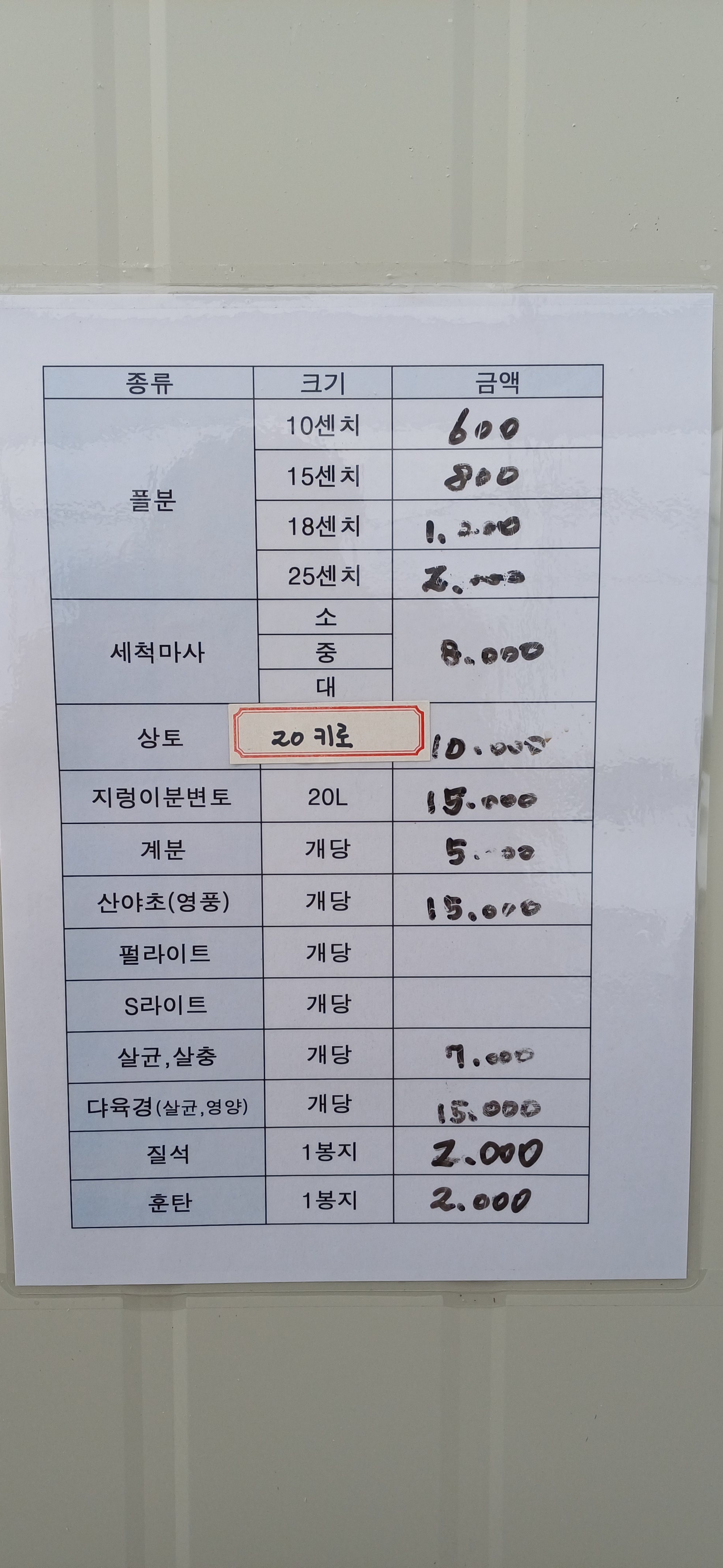 엄지손다육