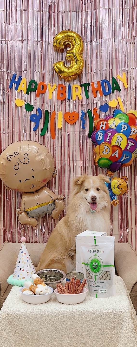 서울종합동물병원방배 대표 이미지