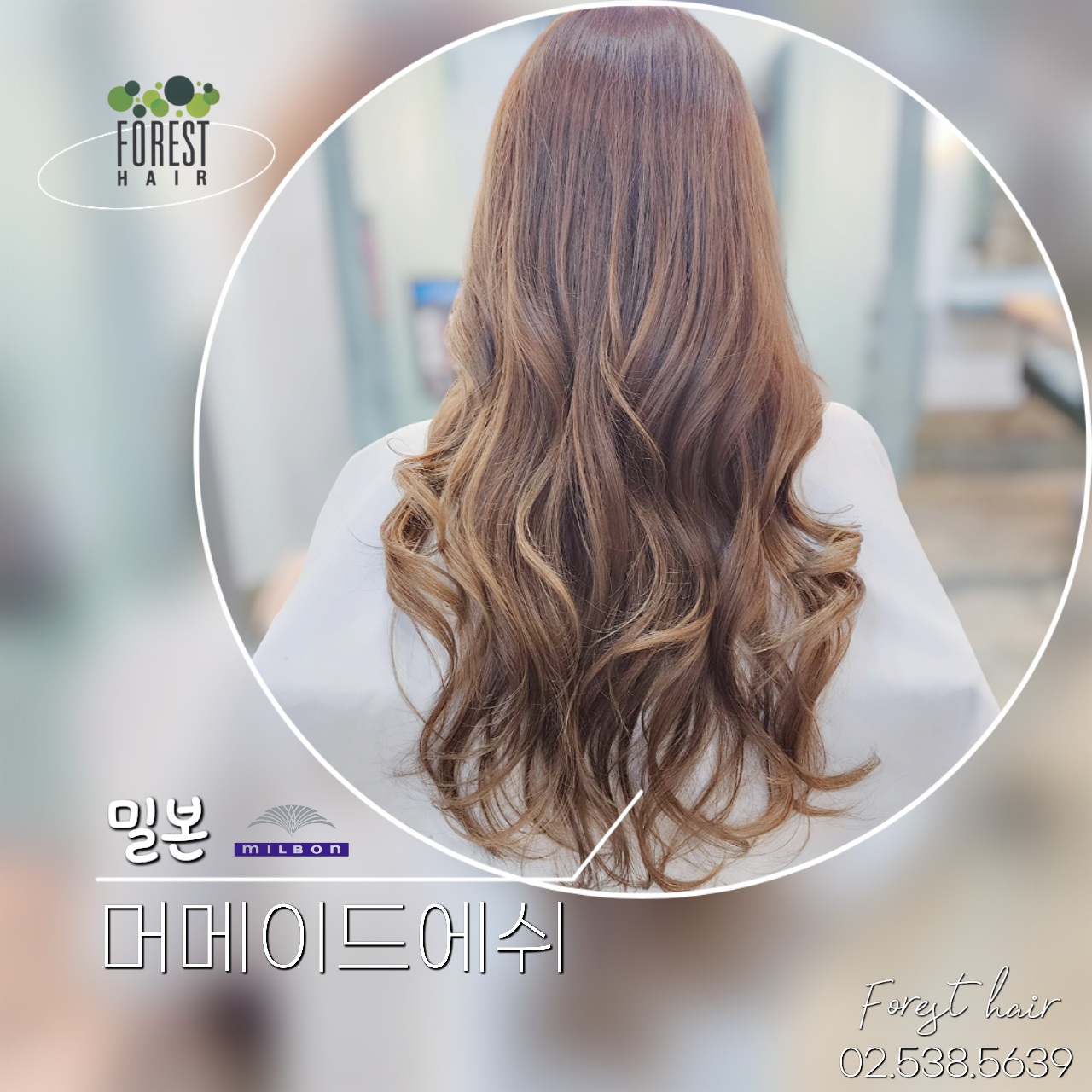 포레스트헤어