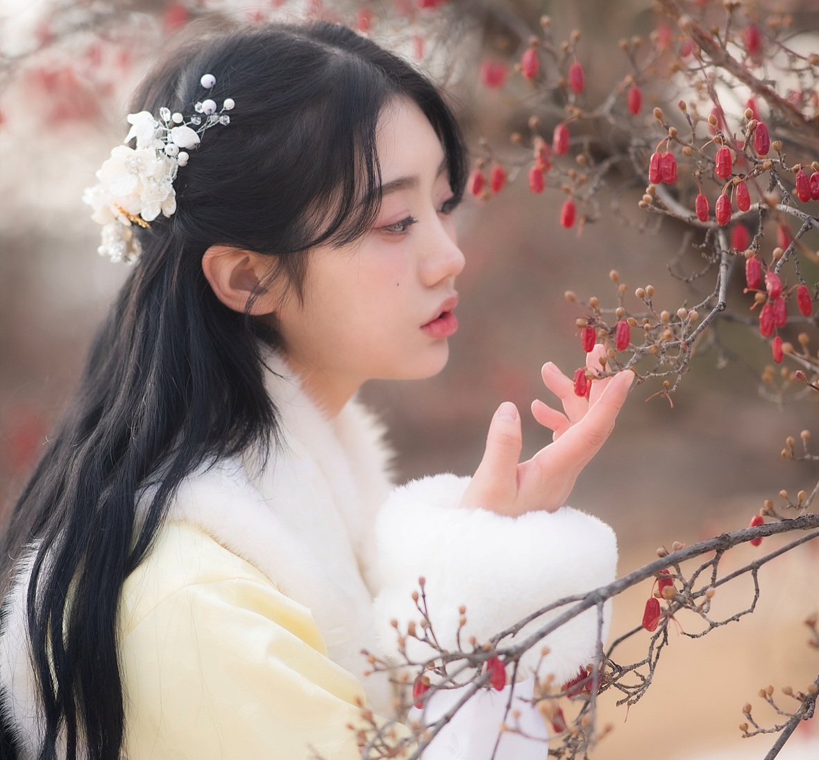 고운솔한복